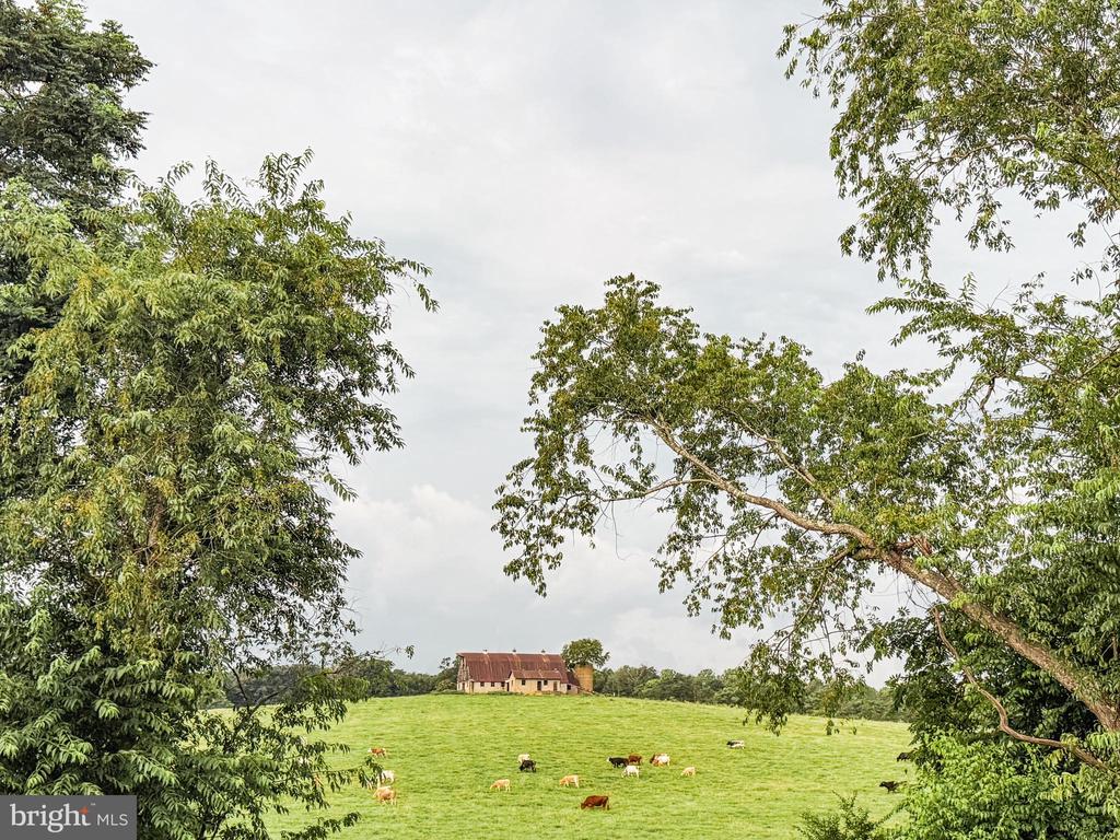 9195 WHITE SHOP, CULPEPER, Virginia 22701, 3 Bedrooms Bedrooms, ,2 BathroomsBathrooms,Residential,9195 WHITE SHOP,VACU2011206 MLS # VACU2011206 9195 WHITE SHOP, CULPEPER, Virginia 22701, 3 Bedrooms Bedrooms, ,2 BathroomsBathrooms,Residential,9195 WHITE SHOP,VACU2011206 MLS # VACU2011206