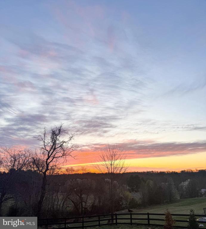 9195 WHITE SHOP, CULPEPER, Virginia 22701, 3 Bedrooms Bedrooms, ,2 BathroomsBathrooms,Residential,9195 WHITE SHOP,VACU2011206 MLS # VACU2011206 9195 WHITE SHOP, CULPEPER, Virginia 22701, 3 Bedrooms Bedrooms, ,2 BathroomsBathrooms,Residential,9195 WHITE SHOP,VACU2011206 MLS # VACU2011206