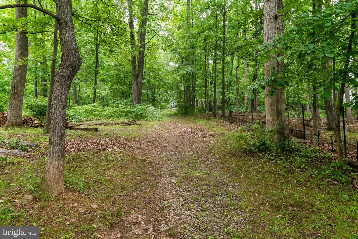 430 SADDLEBACK LN, WINCHESTER, Virginia 22602, 4 Bedrooms Bedrooms, ,3 BathroomsBathrooms,Residential,For sale,430 SADDLEBACK LN,VAFV2036046 MLS # VAFV2036046 430 SADDLEBACK LN, WINCHESTER, Virginia 22602, 4 Bedrooms Bedrooms, ,3 BathroomsBathrooms,Residential,For sale,430 SADDLEBACK LN,VAFV2036046 MLS # VAFV2036046