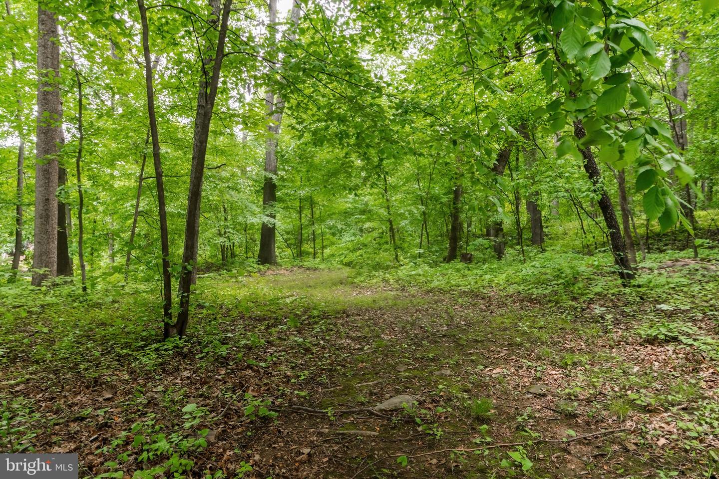 430 SADDLEBACK LN, WINCHESTER, Virginia 22602, 4 Bedrooms Bedrooms, ,3 BathroomsBathrooms,Residential,For sale,430 SADDLEBACK LN,VAFV2036046 MLS # VAFV2036046 430 SADDLEBACK LN, WINCHESTER, Virginia 22602, 4 Bedrooms Bedrooms, ,3 BathroomsBathrooms,Residential,For sale,430 SADDLEBACK LN,VAFV2036046 MLS # VAFV2036046