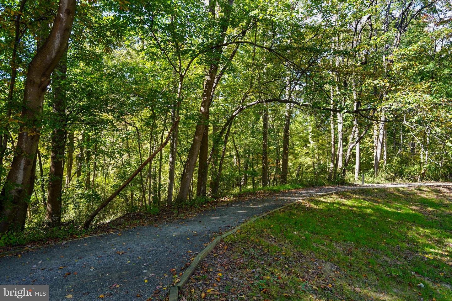 7772 WILLOW POINT DR #7772, FALLS CHURCH, Virginia 22042, 2 Bedrooms Bedrooms, 10 Rooms Rooms,2 BathroomsBathrooms,Residential,For sale,7772 WILLOW POINT DR #7772,VAFX2275298 MLS # VAFX2275298