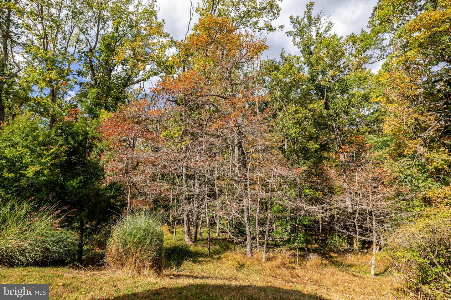 9118 CRICKLEWOOD CT, VIENNA, Virginia 22182, 5 Bedrooms Bedrooms, ,3 BathroomsBathrooms,Residential,For sale,9118 CRICKLEWOOD CT,VAFX2276110 MLS # VAFX2276110