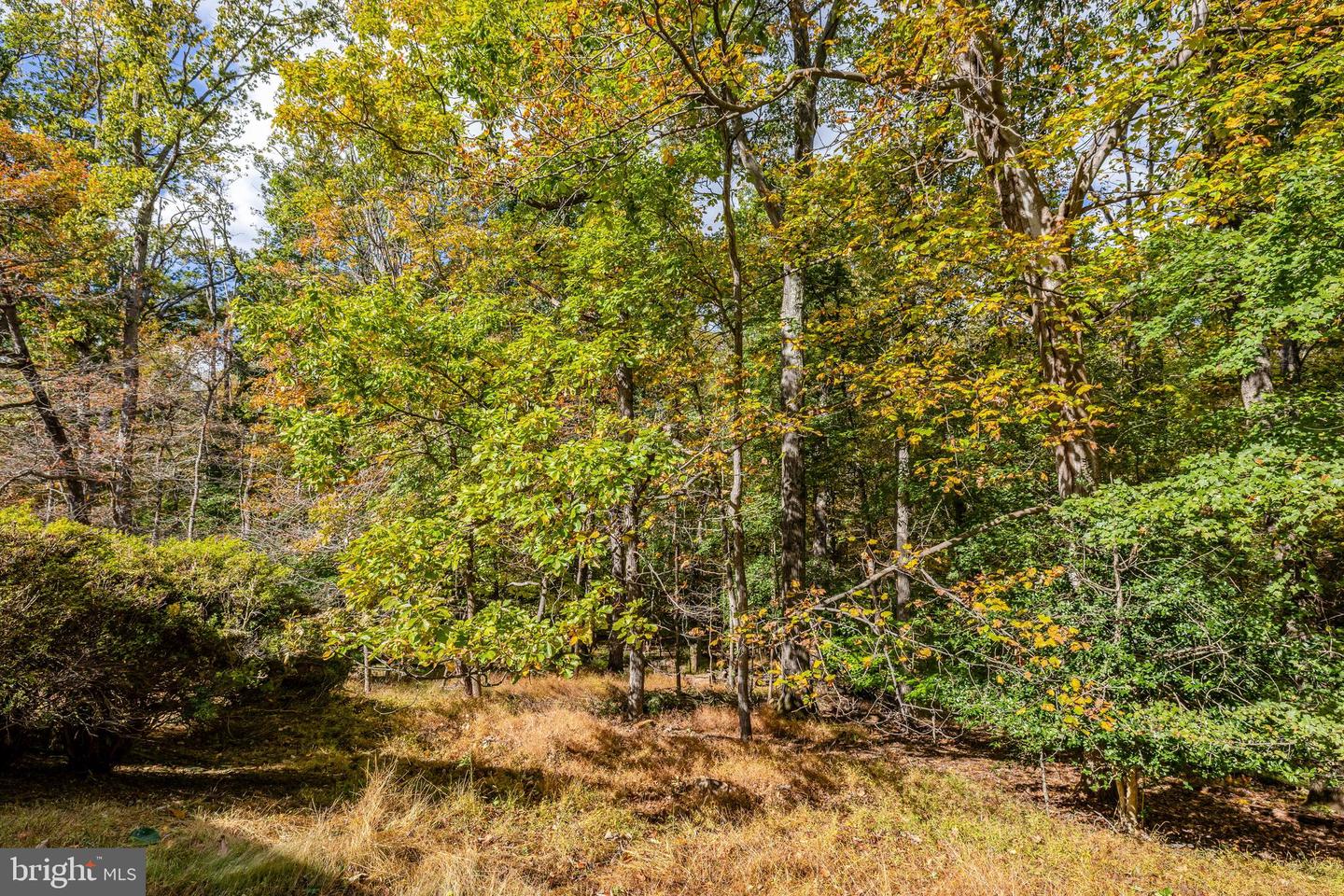 9118 CRICKLEWOOD CT, VIENNA, Virginia 22182, 5 Bedrooms Bedrooms, ,3 BathroomsBathrooms,Residential,For sale,9118 CRICKLEWOOD CT,VAFX2276110 MLS # VAFX2276110