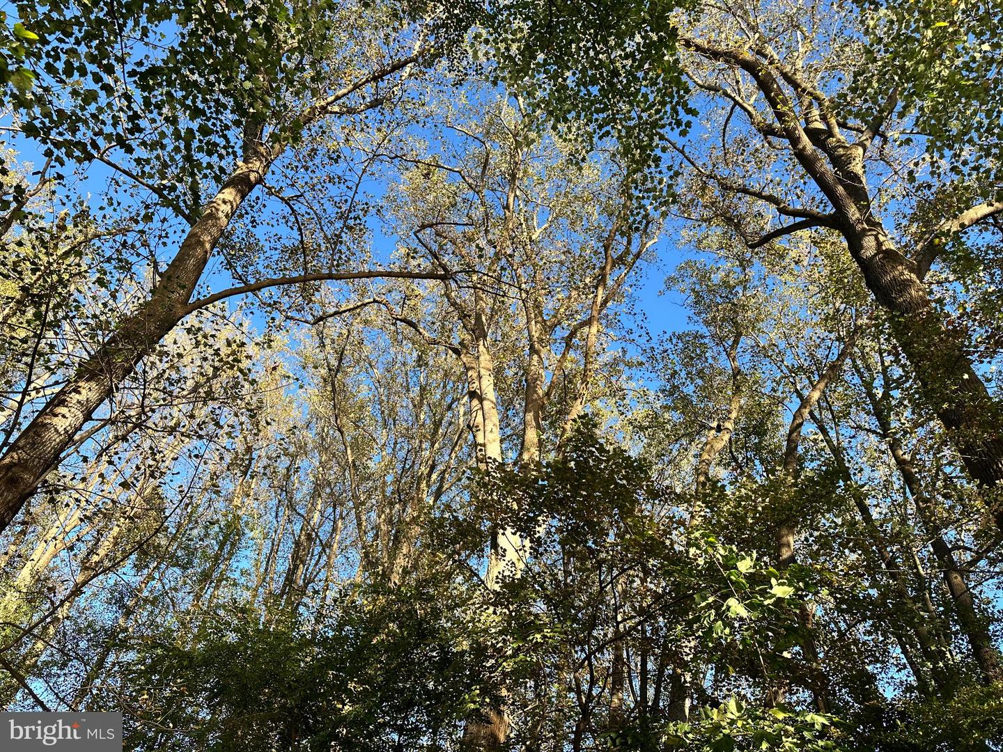 9896 BECKET CT, FAIRFAX, Virginia 22032, 4 Bedrooms Bedrooms, 16 Rooms Rooms,3 BathroomsBathrooms,Residential,For sale,9896 BECKET CT,VAFX2276112 MLS # VAFX2276112