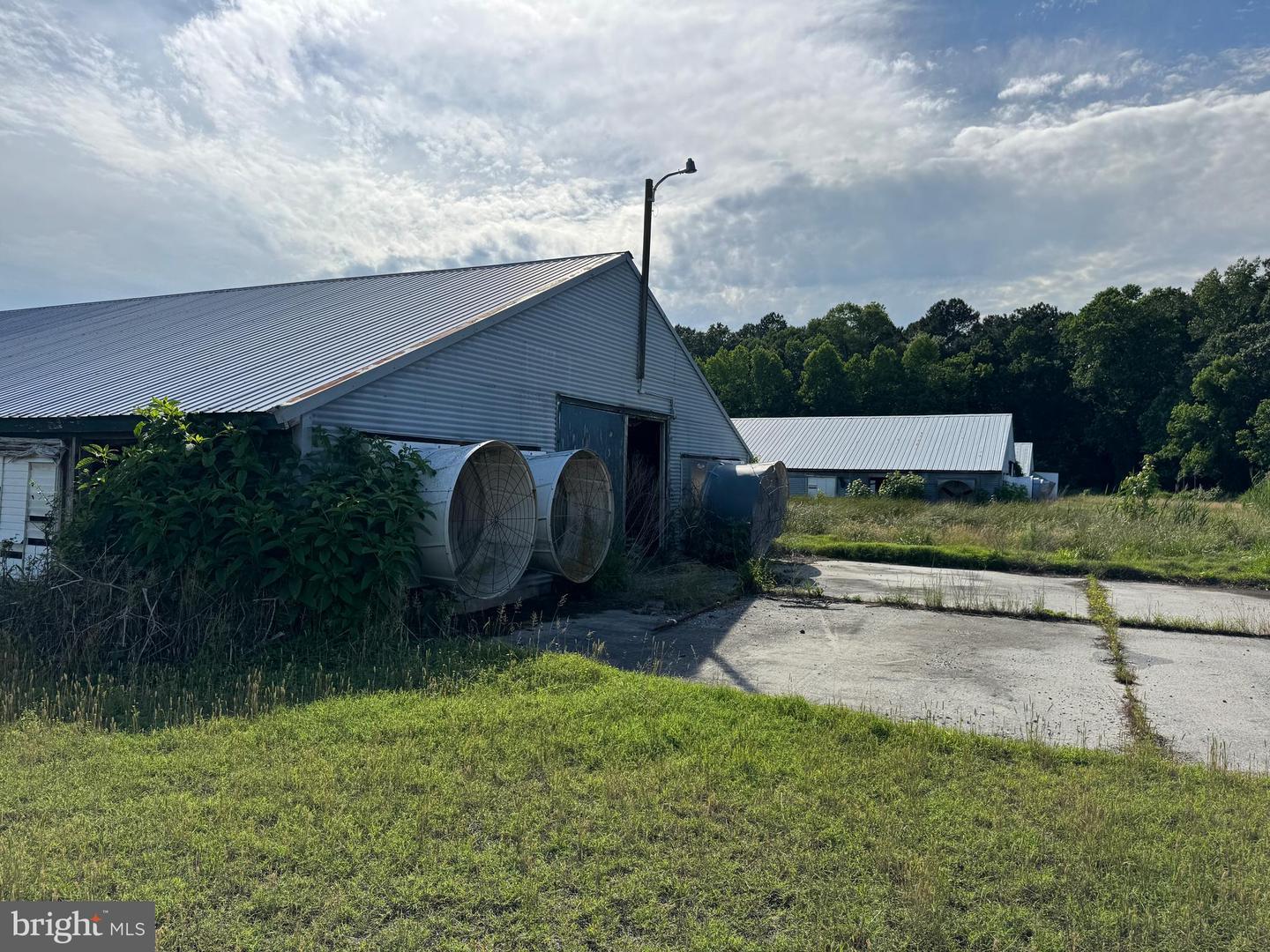 5703 NEAL PARKER RD, WITHAMS, Virginia 23488, 3 Bedrooms Bedrooms, ,2 BathroomsBathrooms,Farm,For sale,5703 NEAL PARKER RD,VAAC2001950 MLS # VAAC2001950