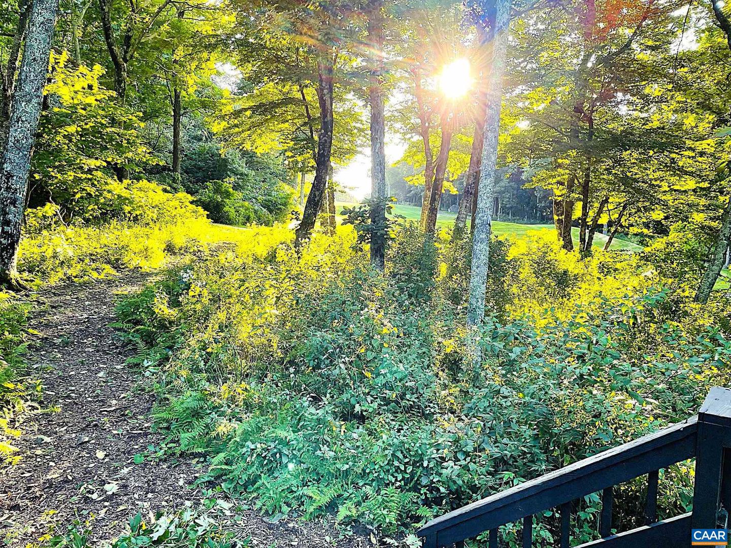 314 EAST CATOCTIN DR, WINTERGREEN, Virginia 22967, 3 Bedrooms Bedrooms, ,2 BathroomsBathrooms,Residential,For sale,314 EAST CATOCTIN DR,666522 MLS # 666522 314 EAST CATOCTIN DR, WINTERGREEN, Virginia 22967, 3 Bedrooms Bedrooms, ,2 BathroomsBathrooms,Residential,For sale,314 EAST CATOCTIN DR,666522 MLS # 666522