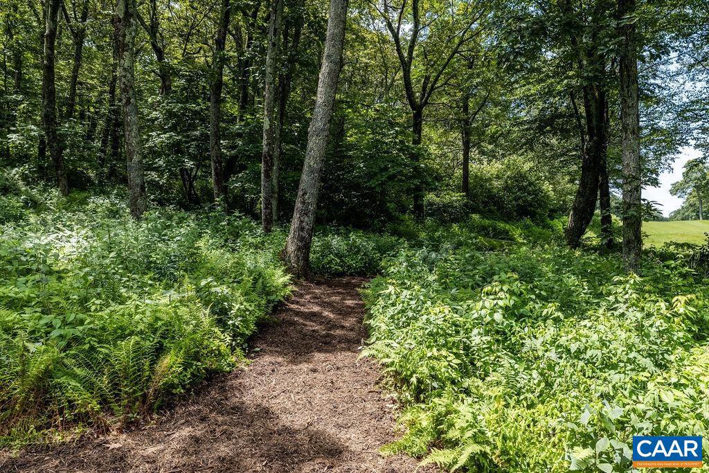 314 EAST CATOCTIN DR, WINTERGREEN, Virginia 22967, 3 Bedrooms Bedrooms, ,2 BathroomsBathrooms,Residential,For sale,314 EAST CATOCTIN DR,666522 MLS # 666522 314 EAST CATOCTIN DR, WINTERGREEN, Virginia 22967, 3 Bedrooms Bedrooms, ,2 BathroomsBathrooms,Residential,For sale,314 EAST CATOCTIN DR,666522 MLS # 666522