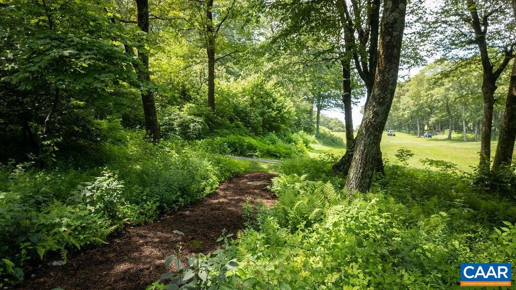 314 EAST CATOCTIN DR, WINTERGREEN, Virginia 22967, 3 Bedrooms Bedrooms, ,2 BathroomsBathrooms,Residential,For sale,314 EAST CATOCTIN DR,666522 MLS # 666522 314 EAST CATOCTIN DR, WINTERGREEN, Virginia 22967, 3 Bedrooms Bedrooms, ,2 BathroomsBathrooms,Residential,For sale,314 EAST CATOCTIN DR,666522 MLS # 666522