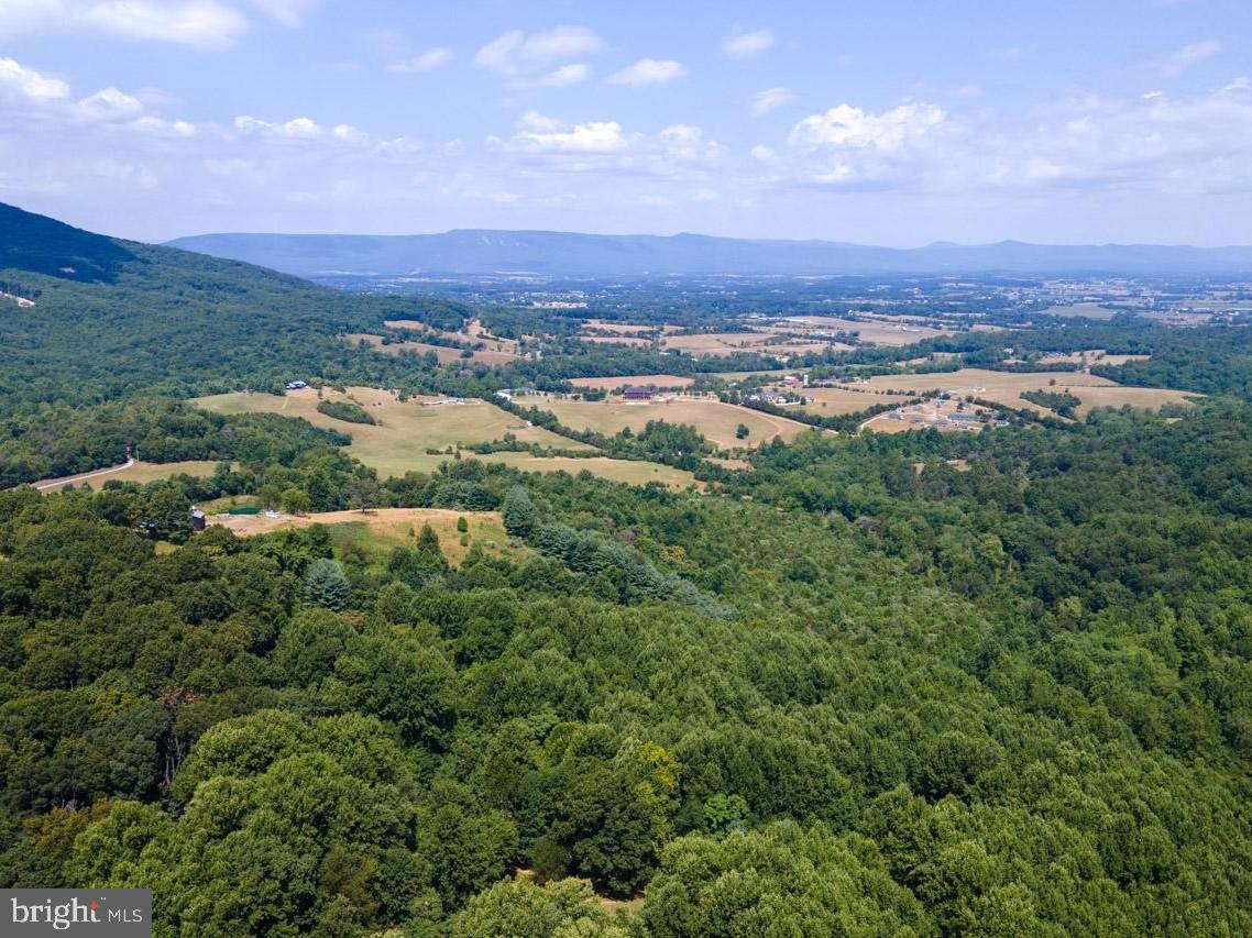 HARMONY LANE, STANLEY, Virginia 22851, ,Land,For sale,HARMONY LANE,VAPA2005162 MLS # VAPA2005162