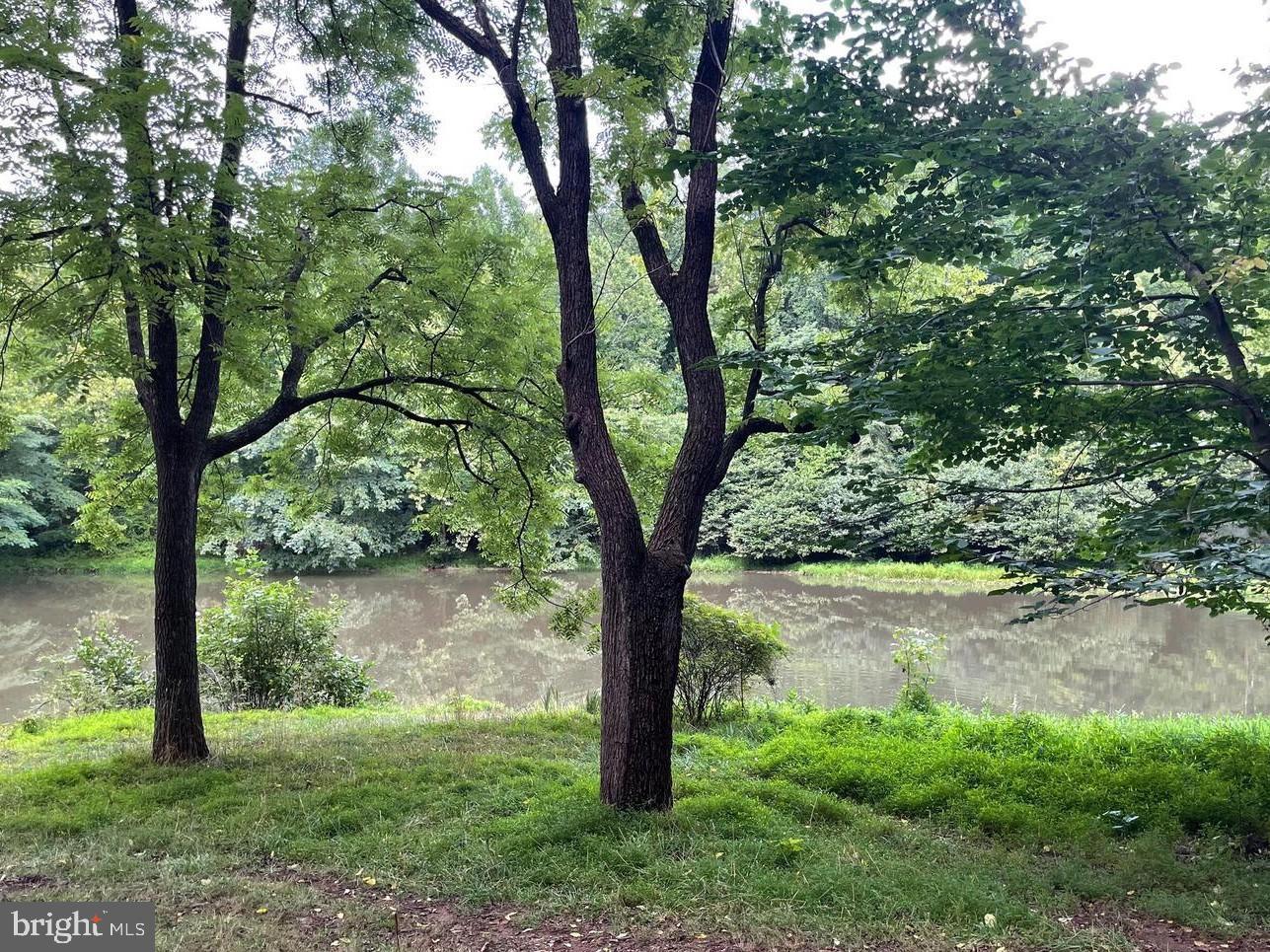 HARMONY LANE, STANLEY, Virginia 22851, ,Land,For sale,HARMONY LANE,VAPA2005162 MLS # VAPA2005162