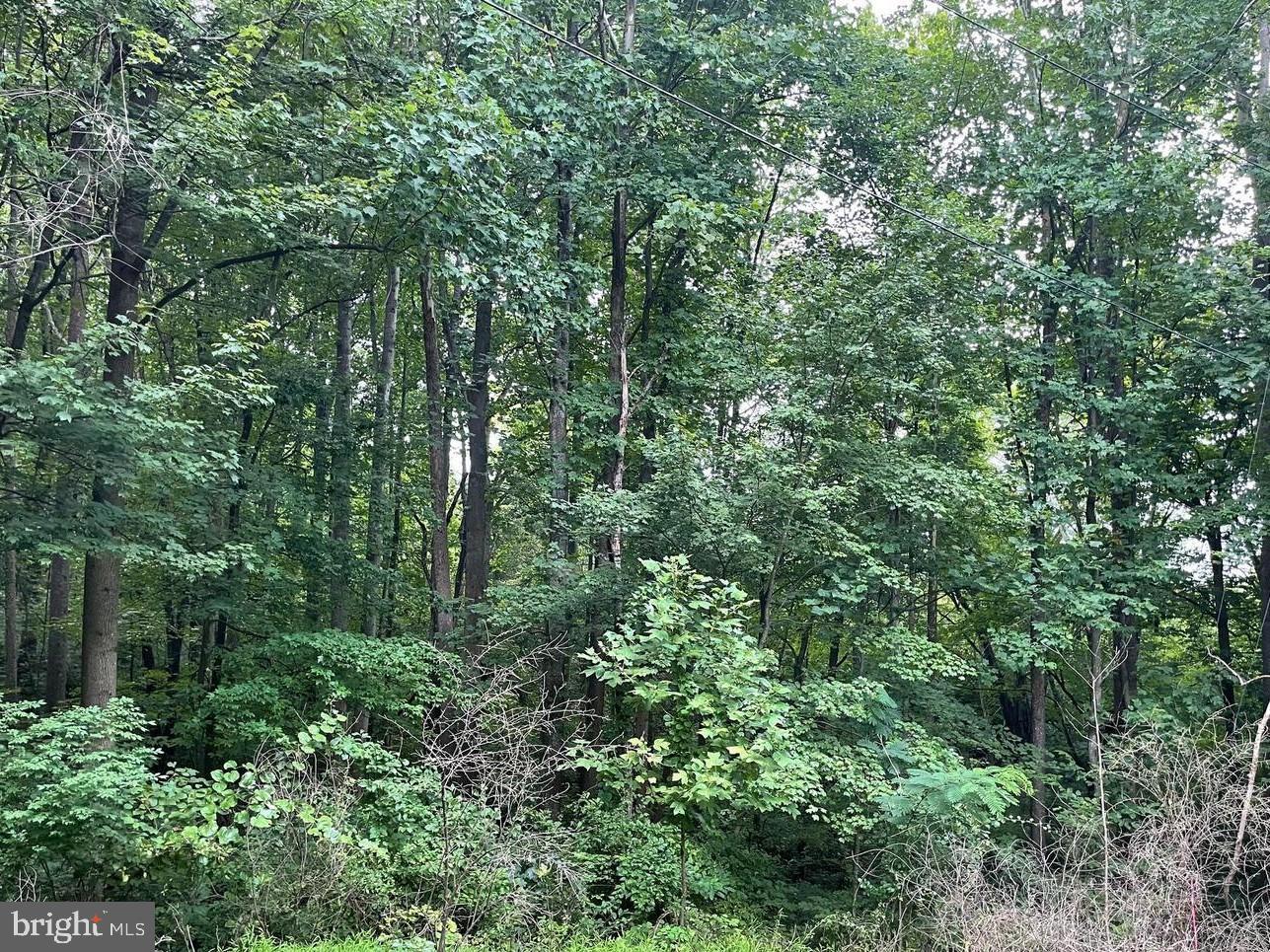 HARMONY LANE, STANLEY, Virginia 22851, ,Land,For sale,HARMONY LANE,VAPA2005162 MLS # VAPA2005162