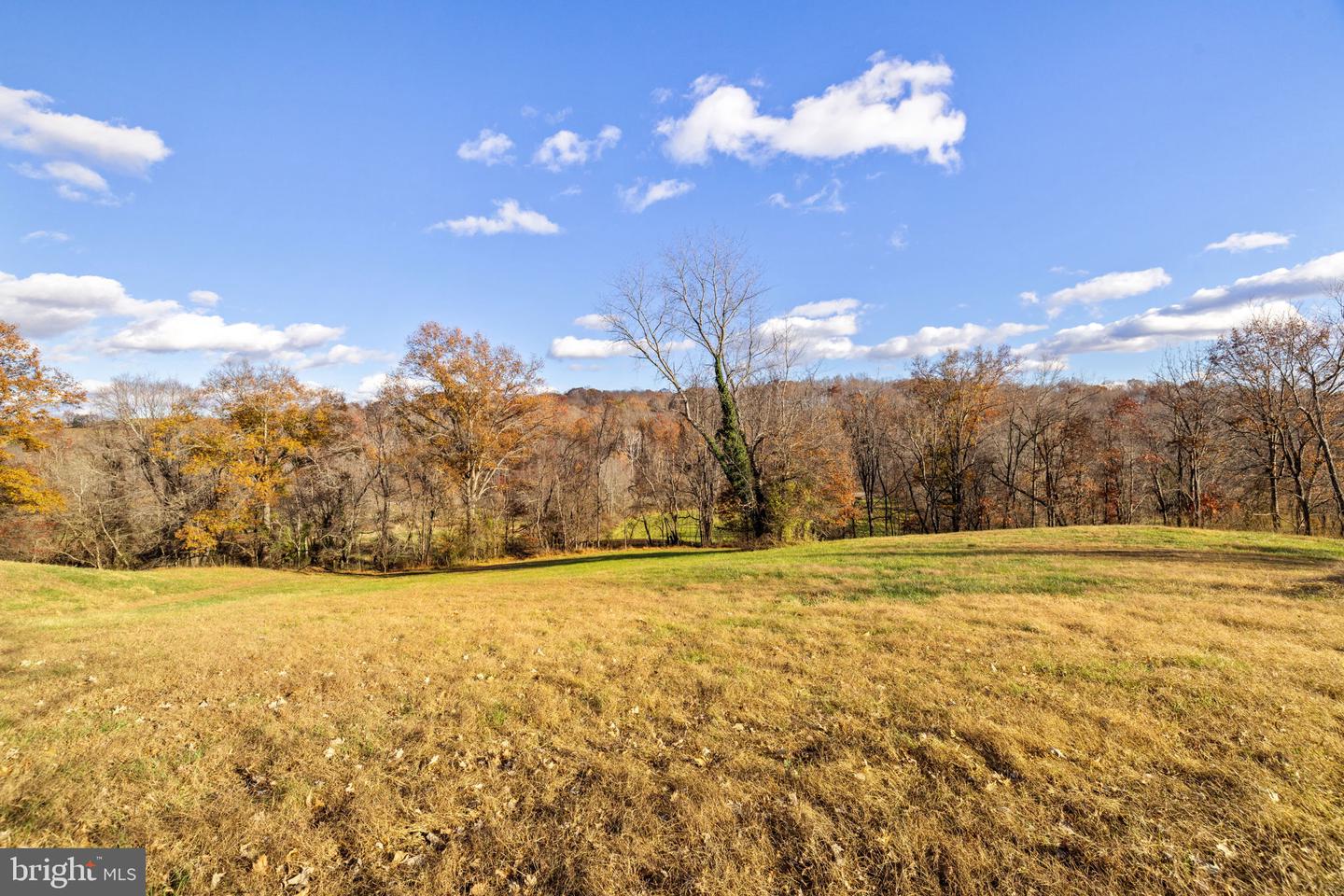 3383 LOST CORNER RD, DELAPLANE, Virginia 20144, ,Land,For sale,3383 LOST CORNER RD,VAFQ2019652 MLS # VAFQ2019652 3383 LOST CORNER RD, DELAPLANE, Virginia 20144, ,Land,For sale,3383 LOST CORNER RD,VAFQ2019652 MLS # VAFQ2019652
