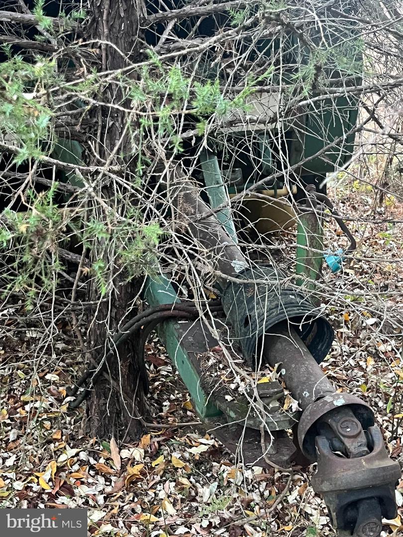 MITCHELL FORD RD, LIGNUM, Virginia 22726, ,Farm,For sale,MITCHELL FORD RD,VACU2012054 MLS # VACU2012054 MITCHELL FORD RD, LIGNUM, Virginia 22726, ,Farm,For sale,MITCHELL FORD RD,VACU2012054 MLS # VACU2012054
