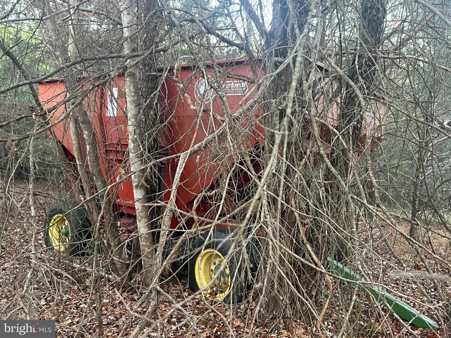 MITCHELL FORD RD, LIGNUM, Virginia 22726, ,Farm,For sale,MITCHELL FORD RD,VACU2012054 MLS # VACU2012054 MITCHELL FORD RD, LIGNUM, Virginia 22726, ,Farm,For sale,MITCHELL FORD RD,VACU2012054 MLS # VACU2012054