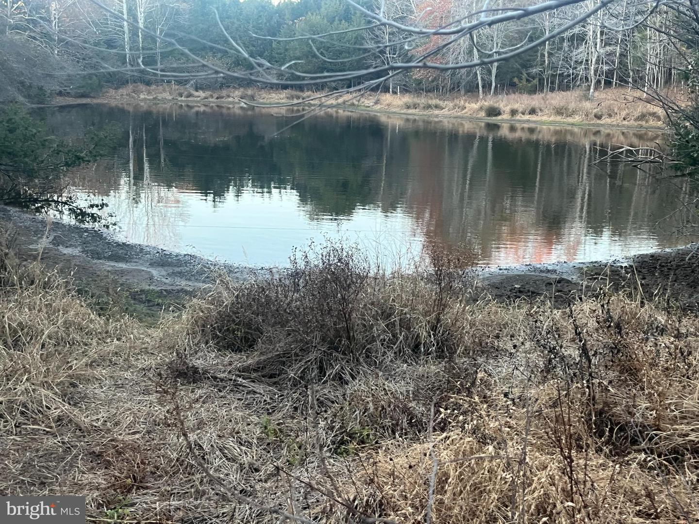 MITCHELL FORD RD, LIGNUM, Virginia 22726, ,Farm,For sale,MITCHELL FORD RD,VACU2012054 MLS # VACU2012054 MITCHELL FORD RD, LIGNUM, Virginia 22726, ,Farm,For sale,MITCHELL FORD RD,VACU2012054 MLS # VACU2012054