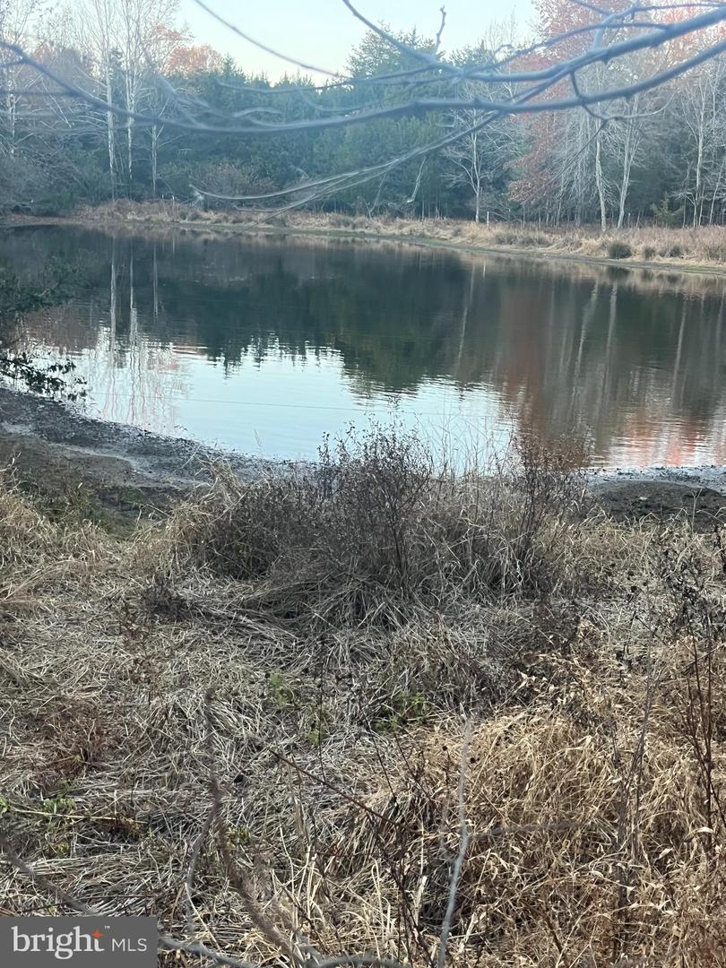 MITCHELL FORD RD, LIGNUM, Virginia 22726, ,Farm,For sale,MITCHELL FORD RD,VACU2012054 MLS # VACU2012054 MITCHELL FORD RD, LIGNUM, Virginia 22726, ,Farm,For sale,MITCHELL FORD RD,VACU2012054 MLS # VACU2012054