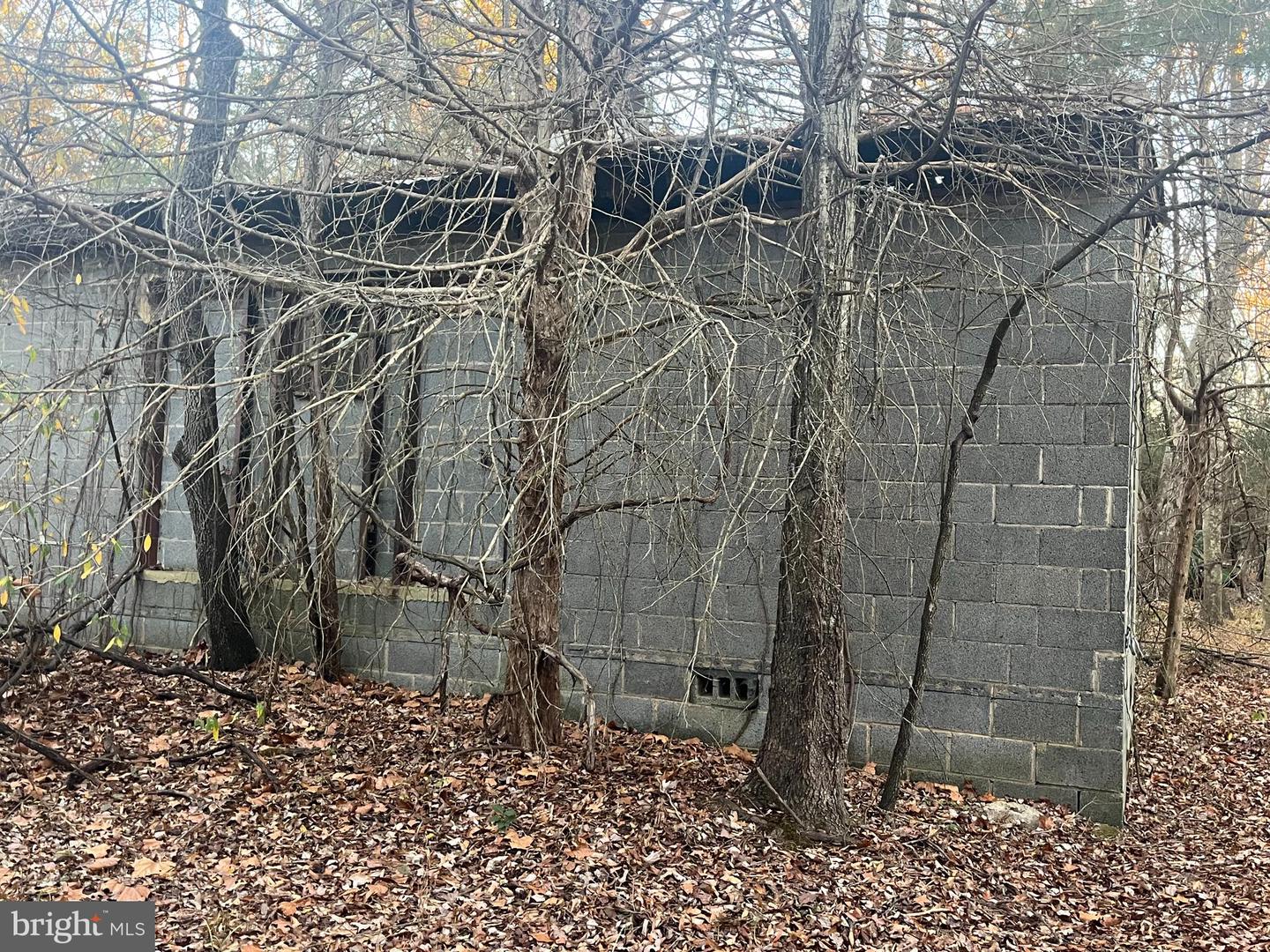 MITCHELL FORD RD, LIGNUM, Virginia 22726, ,Farm,For sale,MITCHELL FORD RD,VACU2012054 MLS # VACU2012054 MITCHELL FORD RD, LIGNUM, Virginia 22726, ,Farm,For sale,MITCHELL FORD RD,VACU2012054 MLS # VACU2012054