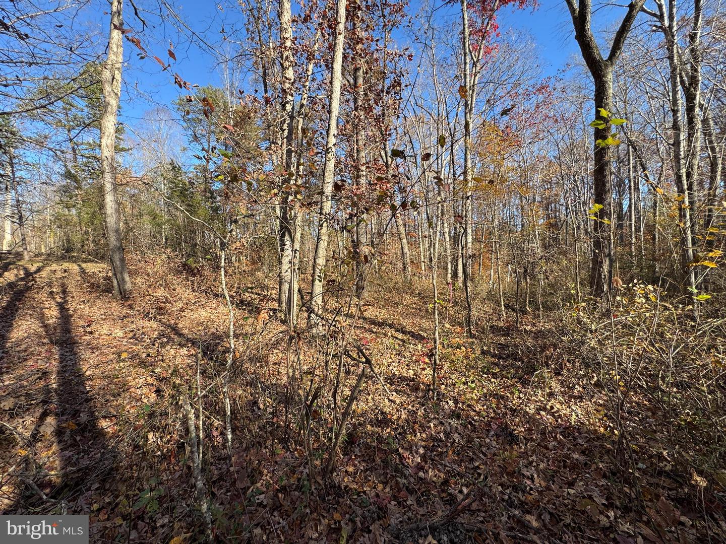 7128 DOMINIQUE DR, SPOTSYLVANIA, Virginia 22551, ,Land,For sale,7128 DOMINIQUE DR,VASP2037558 MLS # VASP2037558