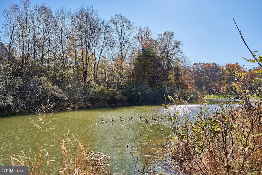 5132 GAGNE CT, FAIRFAX, Virginia 22030, 4 Bedrooms Bedrooms, ,3 BathroomsBathrooms,Residential,For sale,5132 GAGNE CT,VAFX2260170 MLS # VAFX2260170