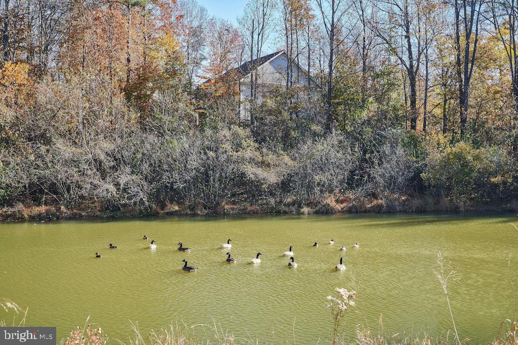 5132 GAGNE CT, FAIRFAX, Virginia 22030, 4 Bedrooms Bedrooms, ,3 BathroomsBathrooms,Residential,For sale,5132 GAGNE CT,VAFX2260170 MLS # VAFX2260170