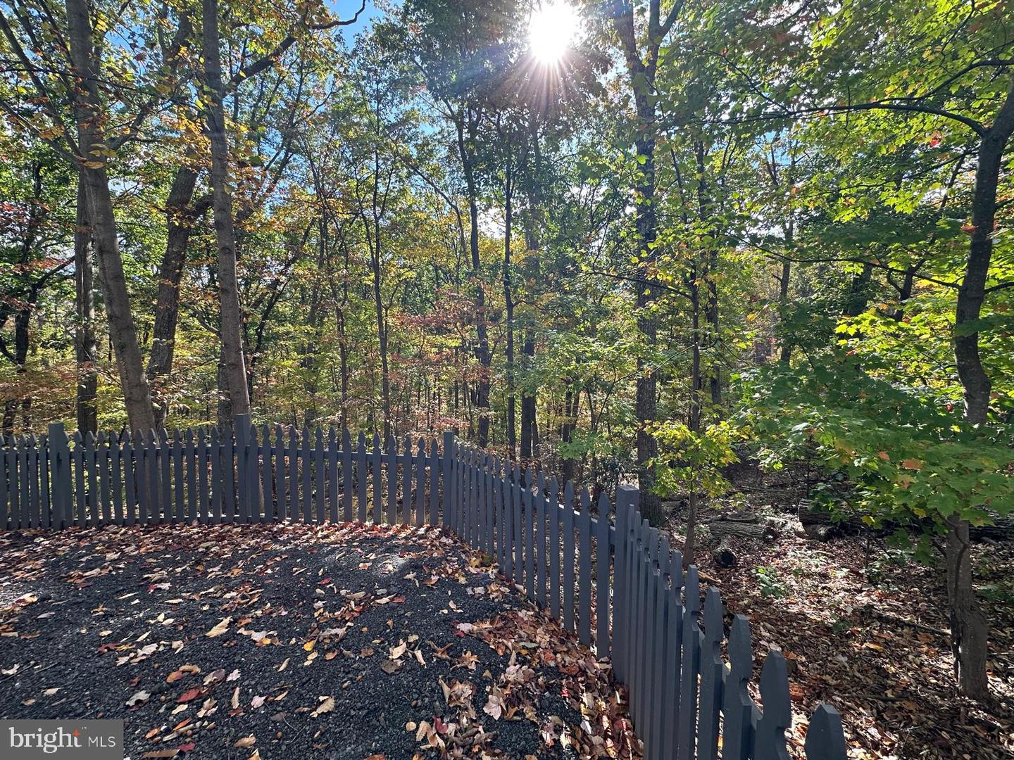 1411 MERCER RD, HAYMARKET, Virginia 20169, 4 Bedrooms Bedrooms, ,3 BathroomsBathrooms,Residential,For sale,1411 MERCER RD,VAPW2103492 MLS # VAPW2103492 1411 MERCER RD, HAYMARKET, Virginia 20169, 4 Bedrooms Bedrooms, ,3 BathroomsBathrooms,Residential,For sale,1411 MERCER RD,VAPW2103492 MLS # VAPW2103492