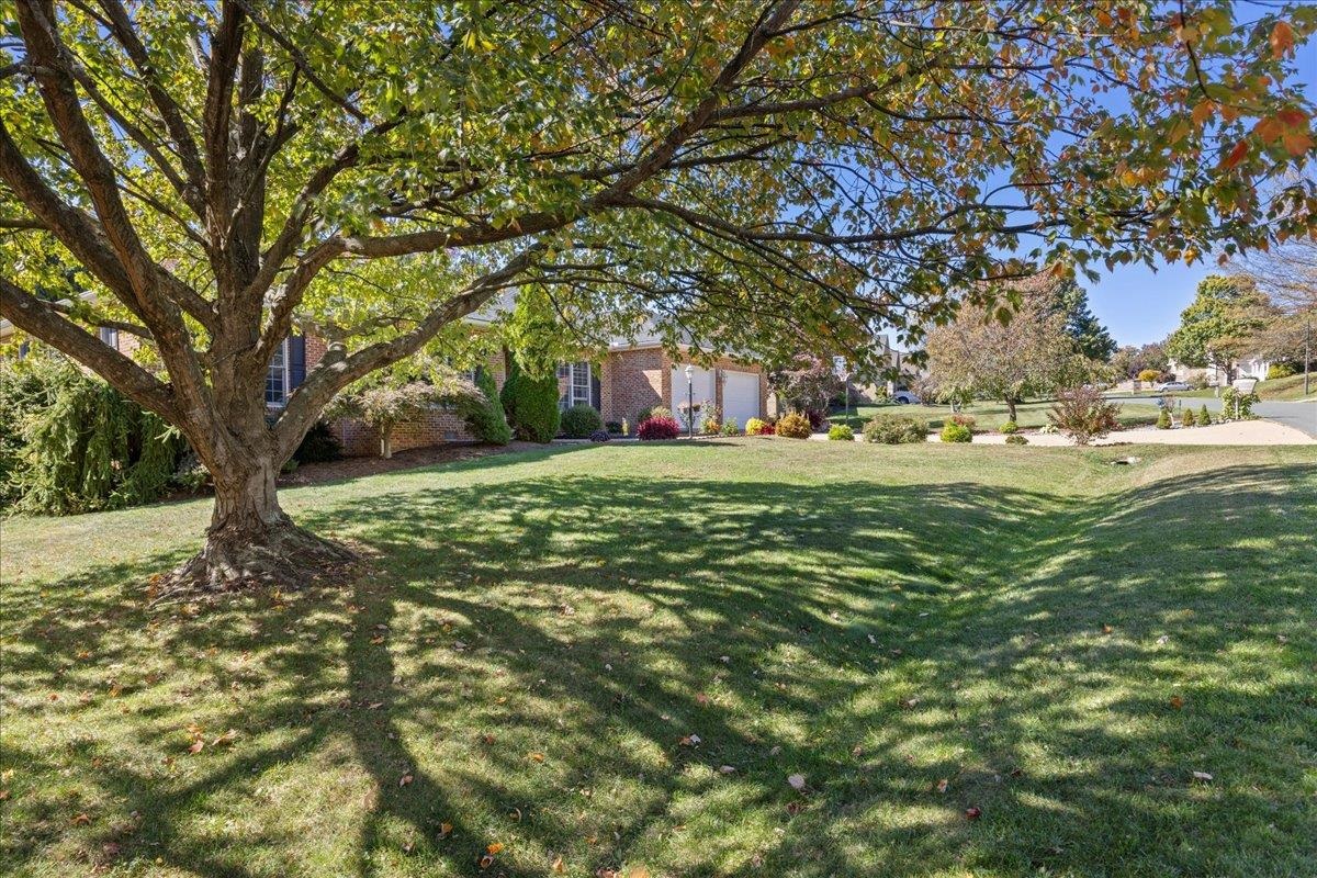 2915 BARRINGTON DR, ROCKINGHAM, Virginia 22801, 3 Bedrooms Bedrooms, ,2 BathroomsBathrooms,Residential,2915 BARRINGTON DR,671020 MLS # 671020 2915 BARRINGTON DR, ROCKINGHAM, Virginia 22801, 3 Bedrooms Bedrooms, ,2 BathroomsBathrooms,Residential,2915 BARRINGTON DR,671020 MLS # 671020