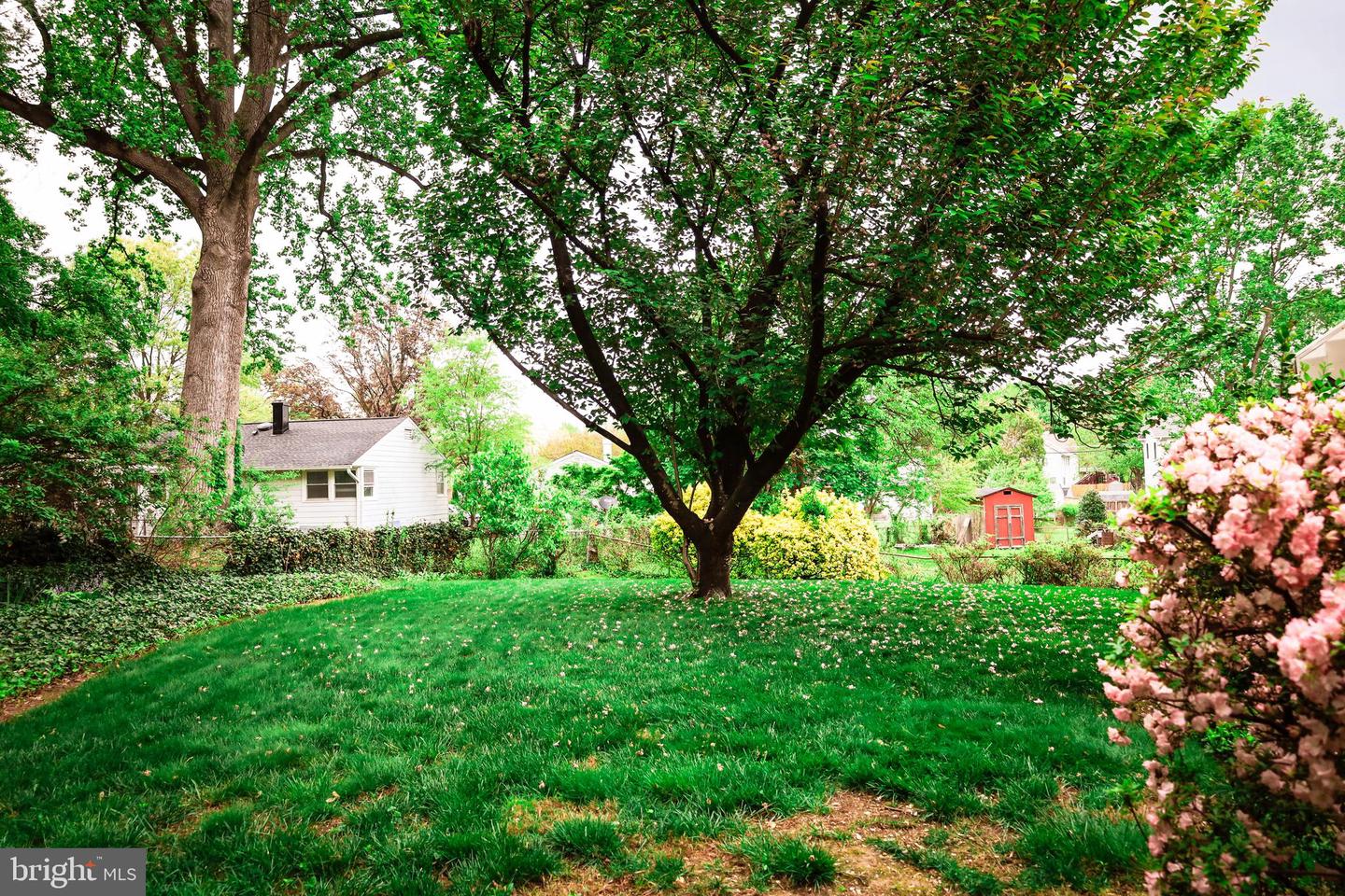 7124 WADE PL, FALLS CHURCH, Virginia 22042, 3 Bedrooms Bedrooms, 11 Rooms Rooms,2 BathroomsBathrooms,Residential,For sale,7124 WADE PL,VAFX2274674 MLS # VAFX2274674