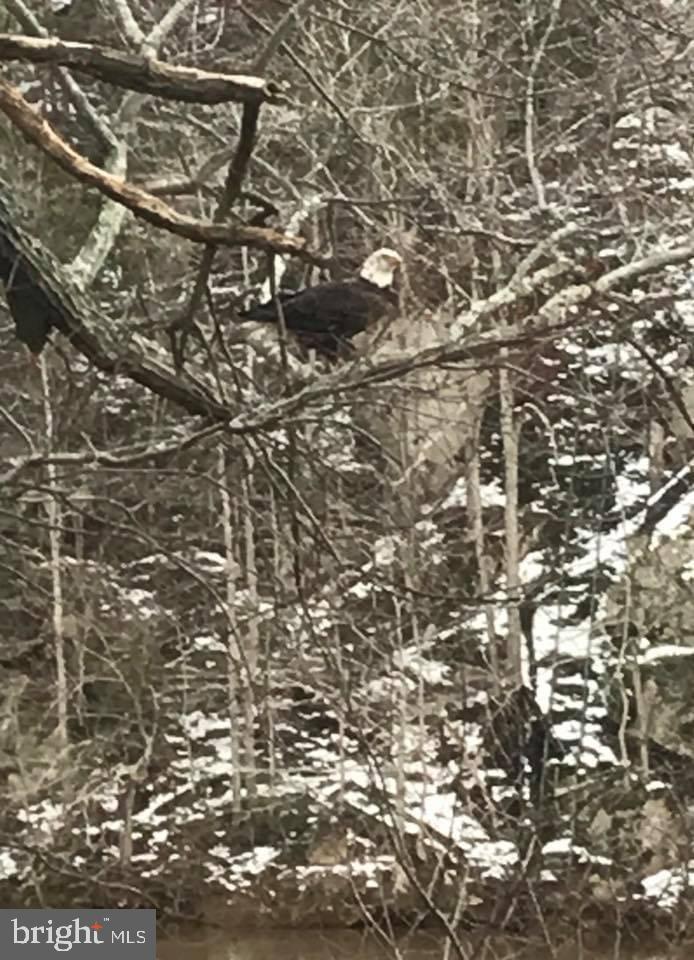 11999 MANNING RD, MANASSAS, Virginia 20112, 2 Bedrooms Bedrooms, ,2 BathroomsBathrooms,Residential,For sale,11999 MANNING RD,VAPW2106508 MLS # VAPW2106508