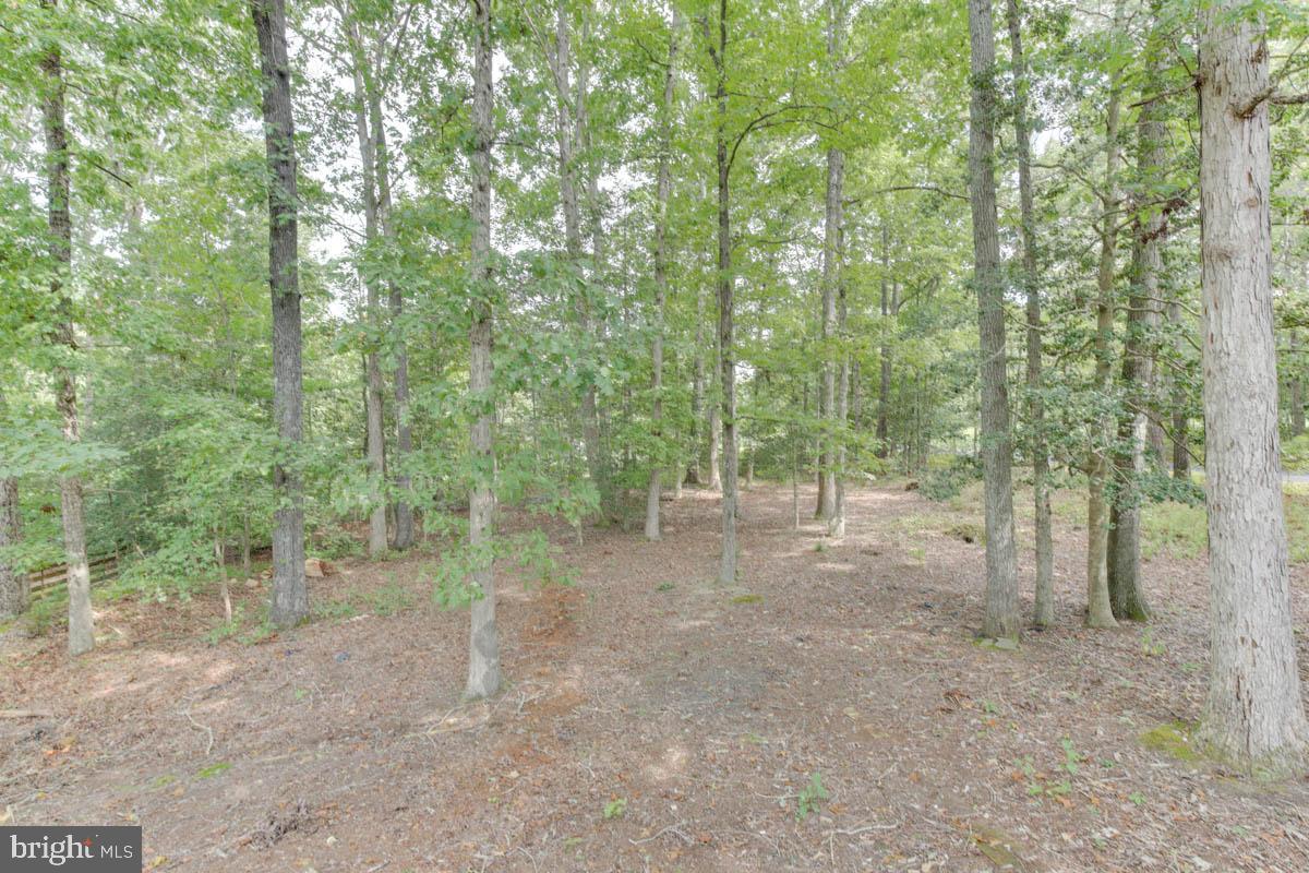 3024 BROOK BLVD, QUINTON, Virginia 23141, 4 Bedrooms Bedrooms, ,4 BathroomsBathrooms,Residential,For sale,3024 BROOK BLVD,VANK2000124 MLS # VANK2000124