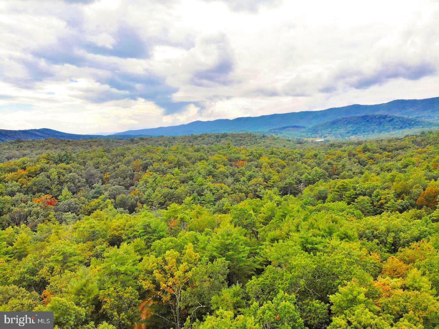 547-A KING, BASYE, Virginia 22810, 4 Bedrooms Bedrooms, ,3 BathroomsBathrooms,Residential,For sale,547-A KING,VASH2012900 MLS # VASH2012900 547-A KING, BASYE, Virginia 22810, 4 Bedrooms Bedrooms, ,3 BathroomsBathrooms,Residential,For sale,547-A KING,VASH2012900 MLS # VASH2012900