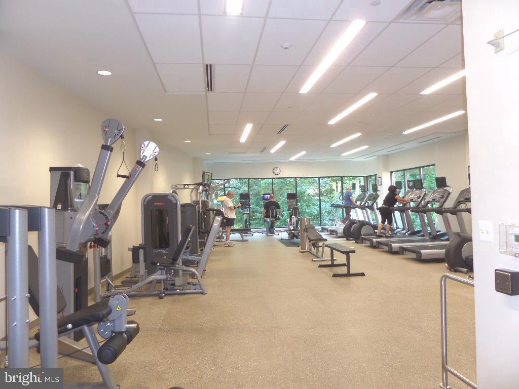 5902 MOUNT EAGLE DR #203, ALEXANDRIA, Virginia 22303, 1 Bedroom Bedrooms, ,1 BathroomBathrooms,Residential,For sale,5902 MOUNT EAGLE DR #203,VAFX2278582 MLS # VAFX2278582