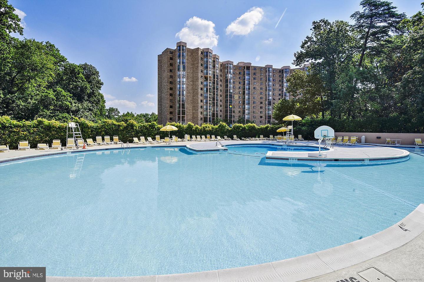 5902 MOUNT EAGLE DR #203, ALEXANDRIA, Virginia 22303, 1 Bedroom Bedrooms, ,1 BathroomBathrooms,Residential,For sale,5902 MOUNT EAGLE DR #203,VAFX2278582 MLS # VAFX2278582