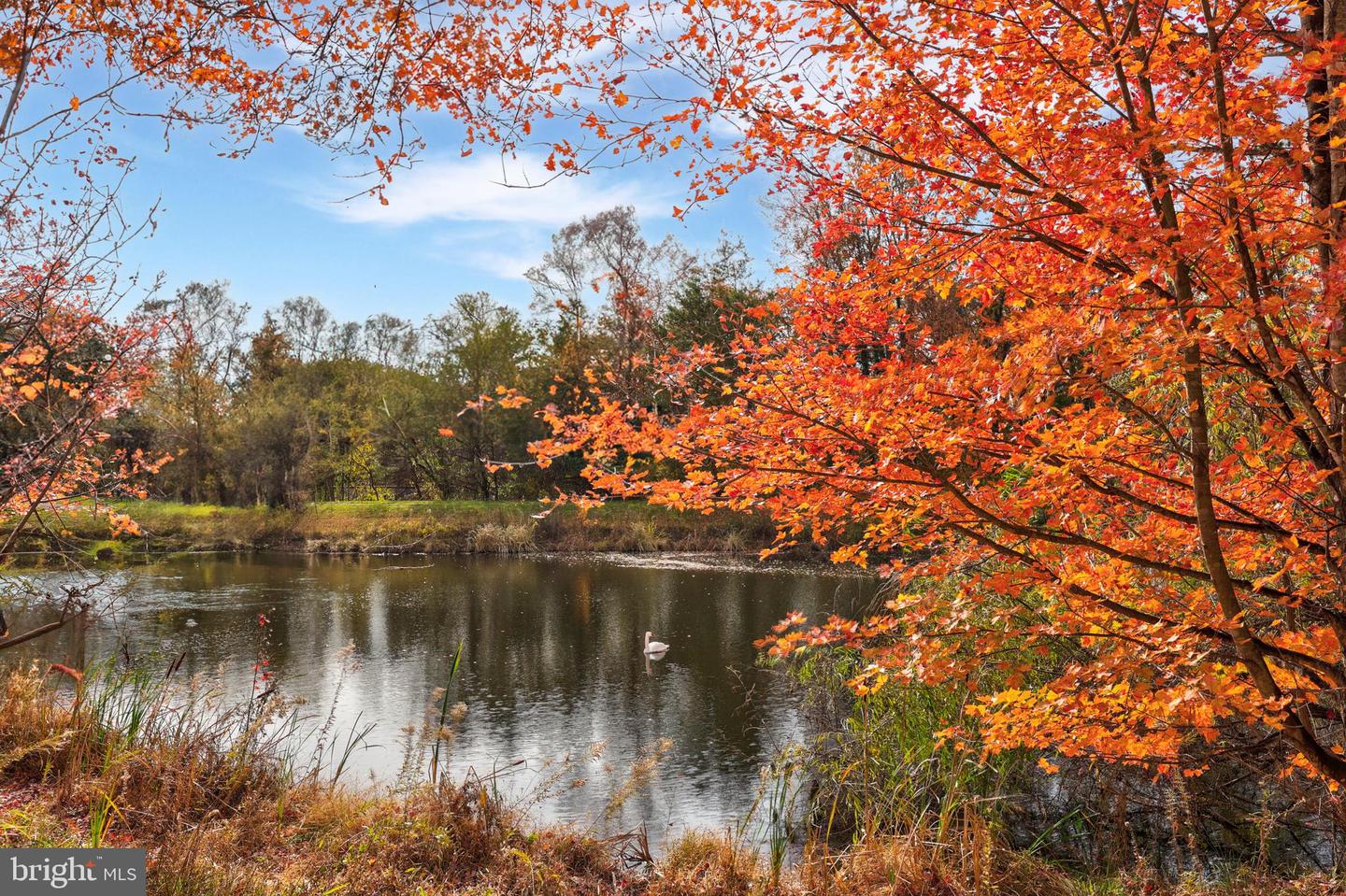 7096 LITTLE THAMES DR, GAINESVILLE, Virginia 20155, 3 Bedrooms Bedrooms, ,2 BathroomsBathrooms,Residential,For sale,7096 LITTLE THAMES DR,VAPW2107634 MLS # VAPW2107634