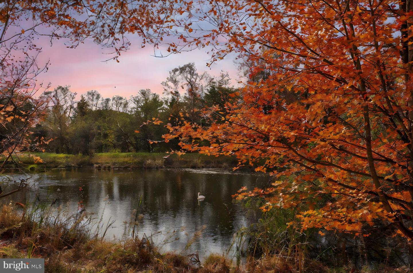 7096 LITTLE THAMES DR, GAINESVILLE, Virginia 20155, 3 Bedrooms Bedrooms, ,2 BathroomsBathrooms,Residential,For sale,7096 LITTLE THAMES DR,VAPW2107634 MLS # VAPW2107634