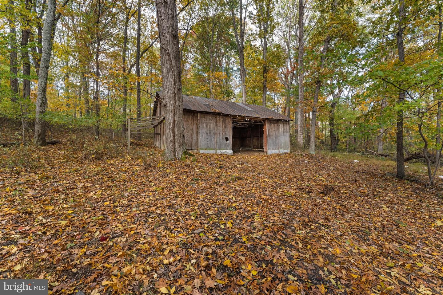 16559 WOODCHASE LN, ROUND HILL, Virginia 20141, ,Land,For sale,16559 WOODCHASE LN,VALO2110506 MLS # VALO2110506 16559 WOODCHASE LN, ROUND HILL, Virginia 20141, ,Land,For sale,16559 WOODCHASE LN,VALO2110506 MLS # VALO2110506