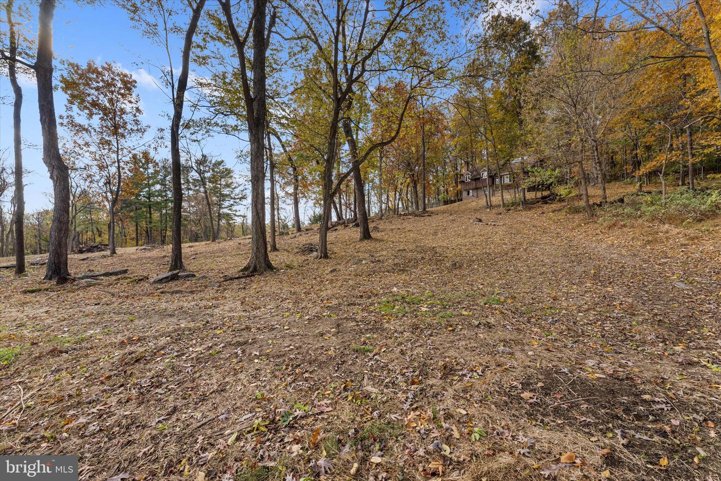 16559 WOODCHASE LN, ROUND HILL, Virginia 20141, ,Land,For sale,16559 WOODCHASE LN,VALO2110506 MLS # VALO2110506 16559 WOODCHASE LN, ROUND HILL, Virginia 20141, ,Land,For sale,16559 WOODCHASE LN,VALO2110506 MLS # VALO2110506