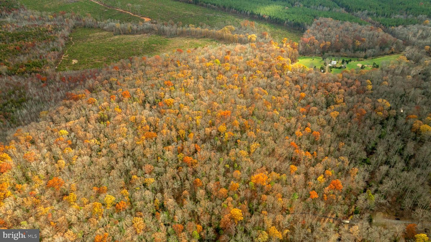 14100 CEDAR PLANTATION RD, SPOTSYLVANIA, Virginia 22551, ,Land,For sale,14100 CEDAR PLANTATION RD,VASP2037550 MLS # VASP2037550