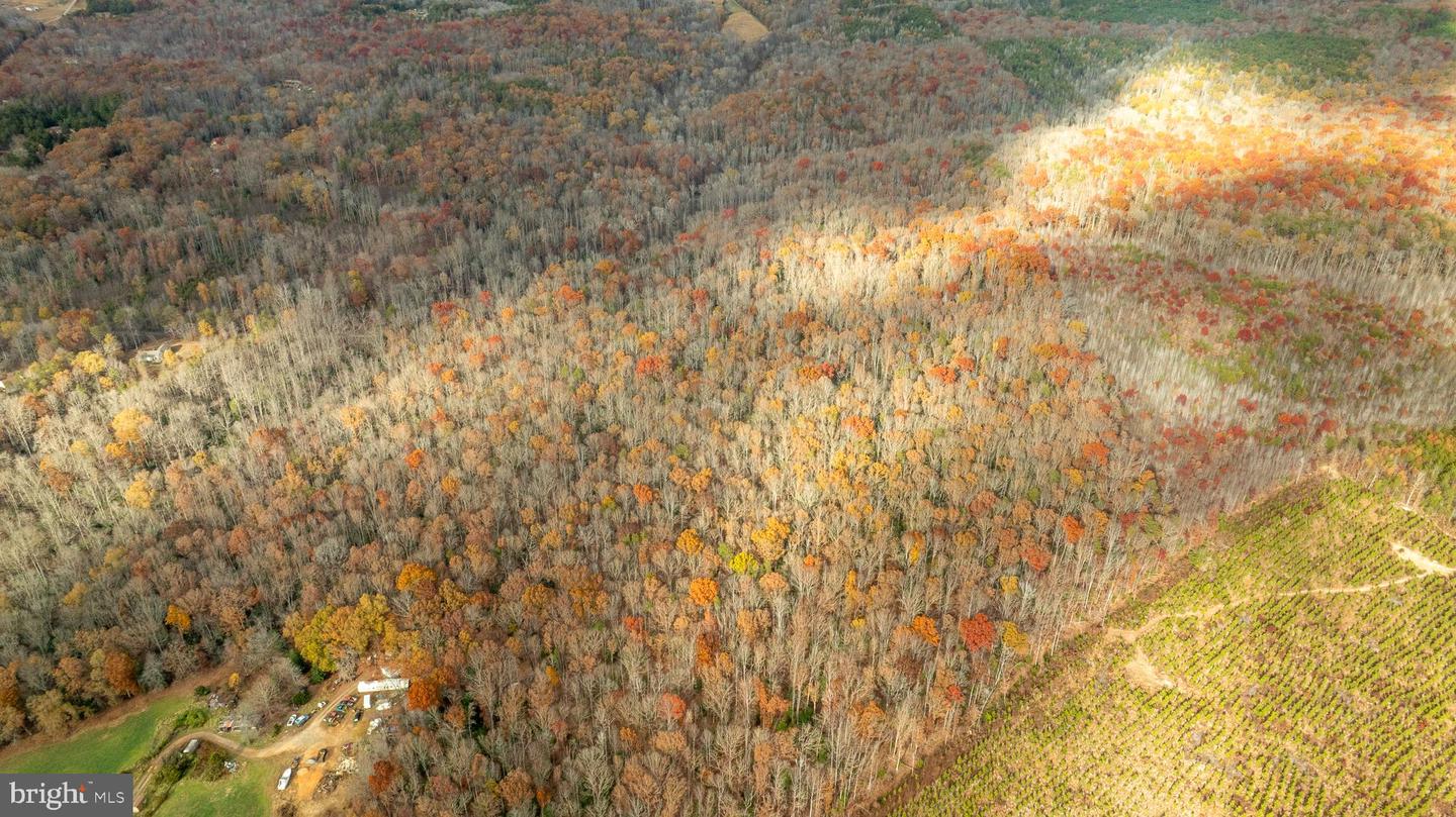 14100 CEDAR PLANTATION RD, SPOTSYLVANIA, Virginia 22551, ,Land,For sale,14100 CEDAR PLANTATION RD,VASP2037550 MLS # VASP2037550