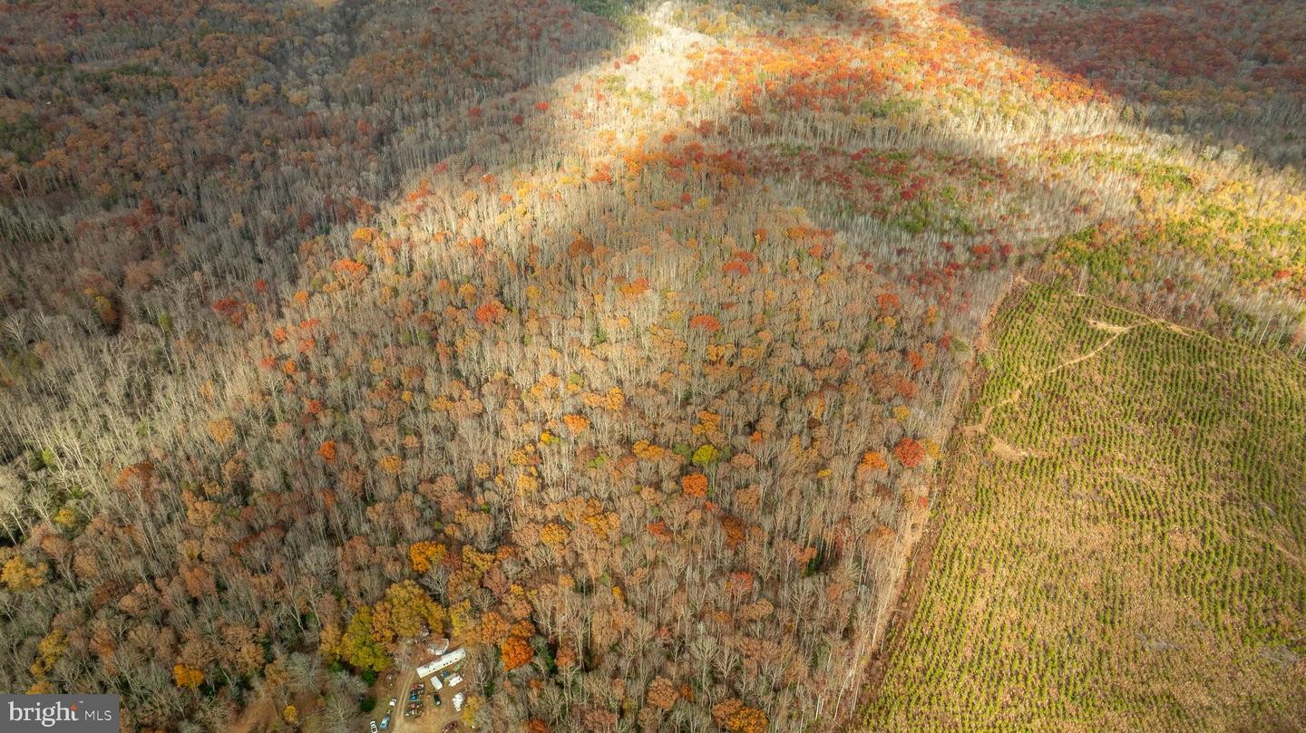 14100 CEDAR PLANTATION RD, SPOTSYLVANIA, Virginia 22551, ,Land,For sale,14100 CEDAR PLANTATION RD,VASP2037550 MLS # VASP2037550