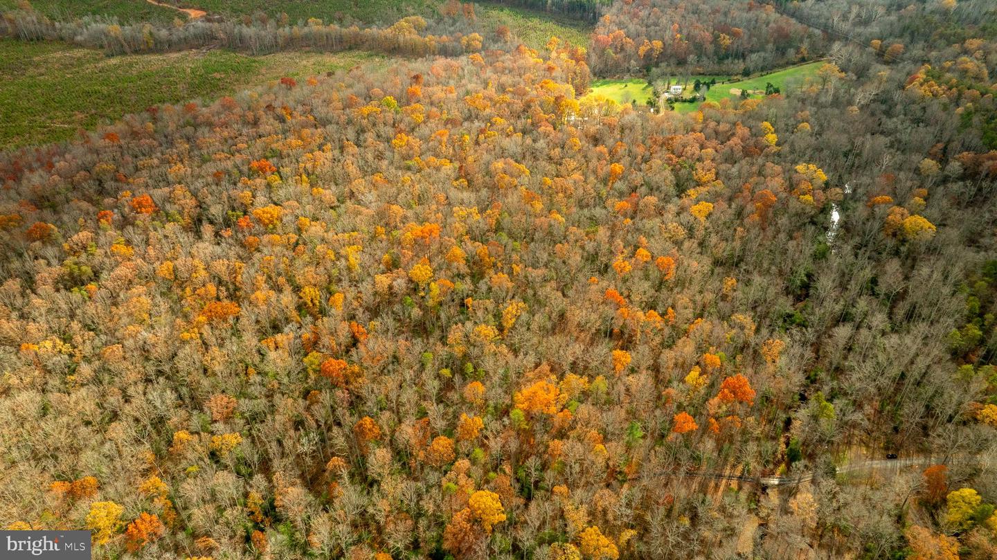 14100 CEDAR PLANTATION RD, SPOTSYLVANIA, Virginia 22551, ,Land,For sale,14100 CEDAR PLANTATION RD,VASP2037550 MLS # VASP2037550