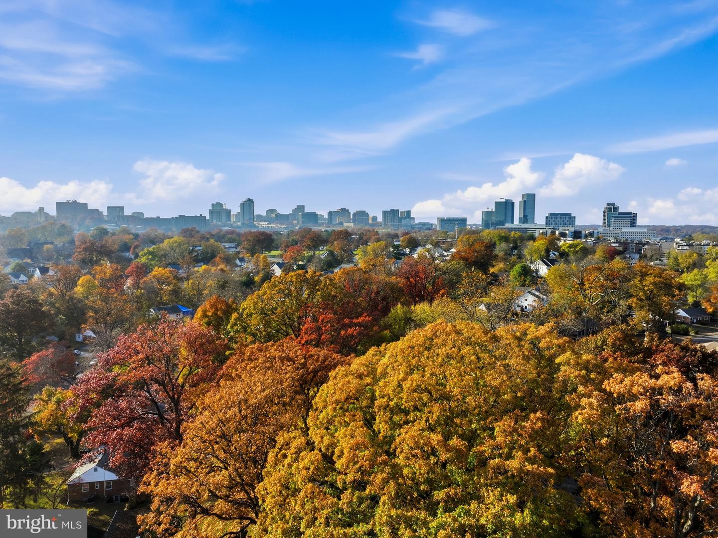7306 SPORTSMAN DR, FALLS CHURCH, Virginia 22043, 6 Bedrooms Bedrooms, ,7 BathroomsBathrooms,Residential,For sale,7306 SPORTSMAN DR,VAFX2267938 MLS # VAFX2267938 7306 SPORTSMAN DR, FALLS CHURCH, Virginia 22043, 6 Bedrooms Bedrooms, ,7 BathroomsBathrooms,Residential,For sale,7306 SPORTSMAN DR,VAFX2267938 MLS # VAFX2267938
