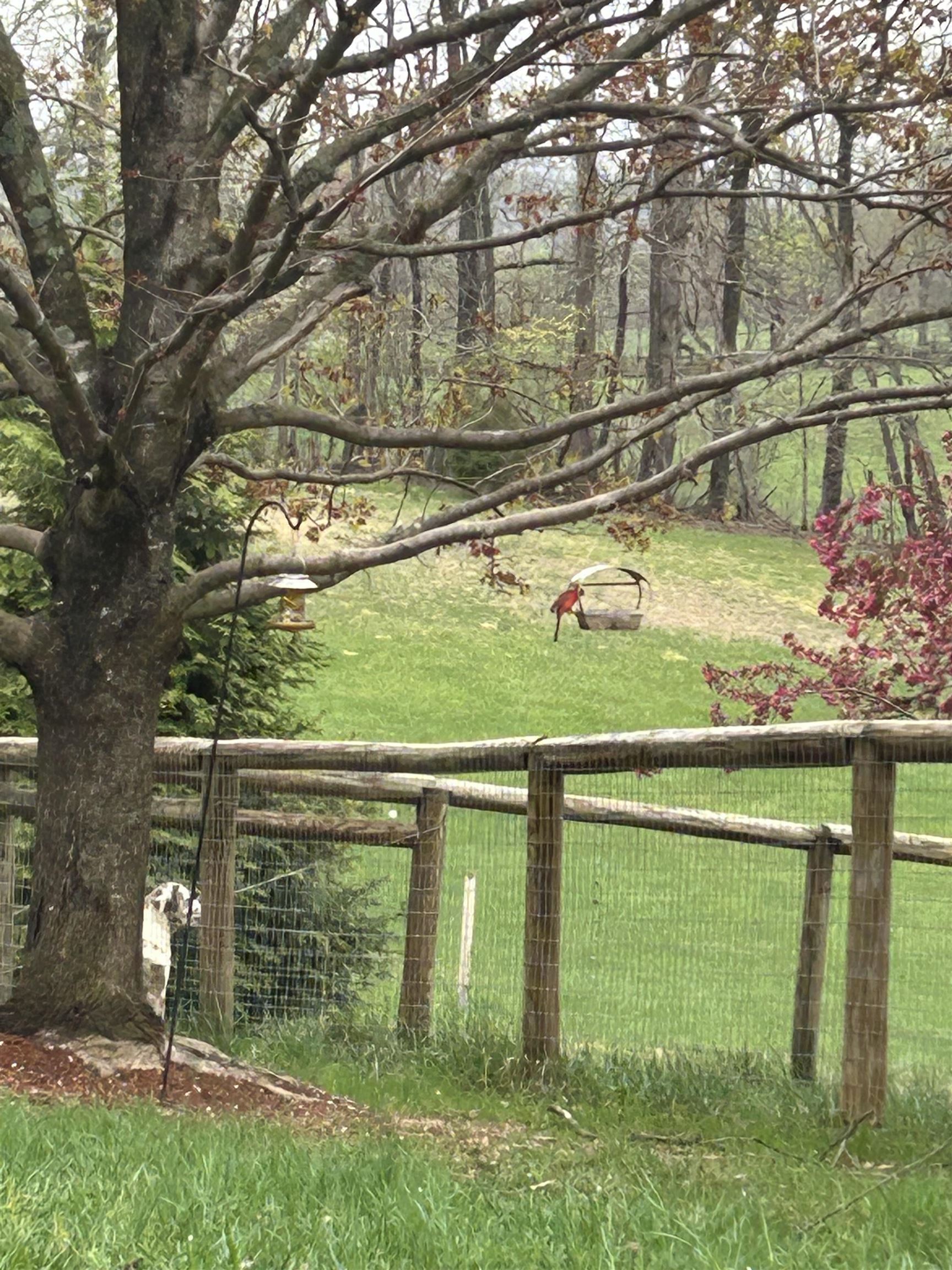 141 LORI LN, CHURCHVILLE, Virginia 24421, 3 Bedrooms Bedrooms, ,2 BathroomsBathrooms,Residential,141 LORI LN,671041 MLS # 671041 141 LORI LN, CHURCHVILLE, Virginia 24421, 3 Bedrooms Bedrooms, ,2 BathroomsBathrooms,Residential,141 LORI LN,671041 MLS # 671041