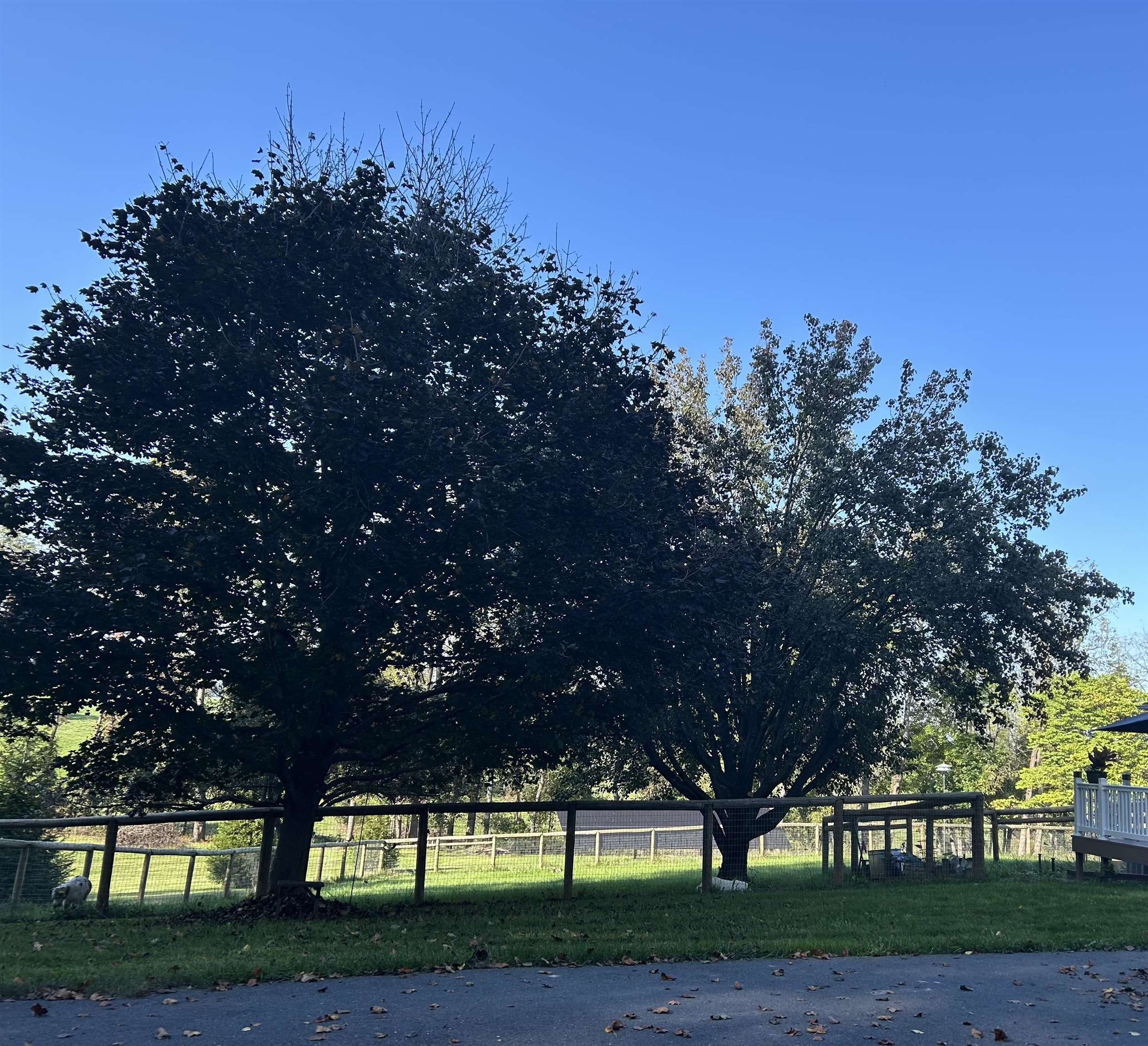 141 LORI LN, CHURCHVILLE, Virginia 24421, 3 Bedrooms Bedrooms, ,2 BathroomsBathrooms,Residential,141 LORI LN,671041 MLS # 671041 141 LORI LN, CHURCHVILLE, Virginia 24421, 3 Bedrooms Bedrooms, ,2 BathroomsBathrooms,Residential,141 LORI LN,671041 MLS # 671041