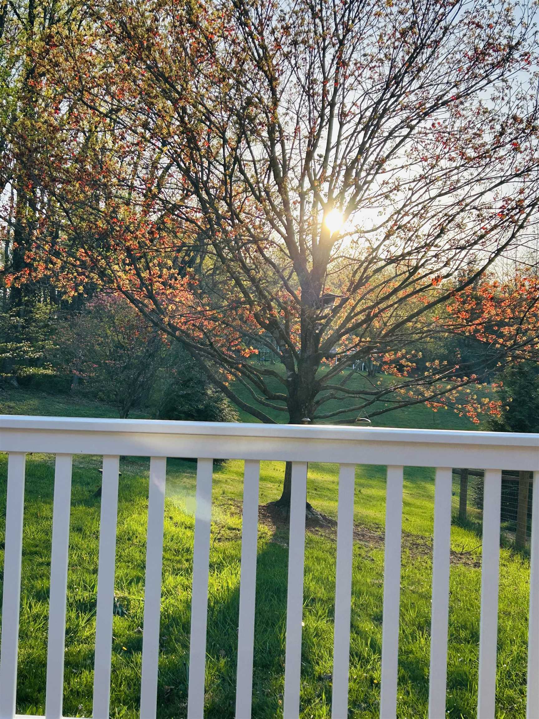 141 LORI LN, CHURCHVILLE, Virginia 24421, 3 Bedrooms Bedrooms, ,2 BathroomsBathrooms,Residential,141 LORI LN,671041 MLS # 671041 141 LORI LN, CHURCHVILLE, Virginia 24421, 3 Bedrooms Bedrooms, ,2 BathroomsBathrooms,Residential,141 LORI LN,671041 MLS # 671041