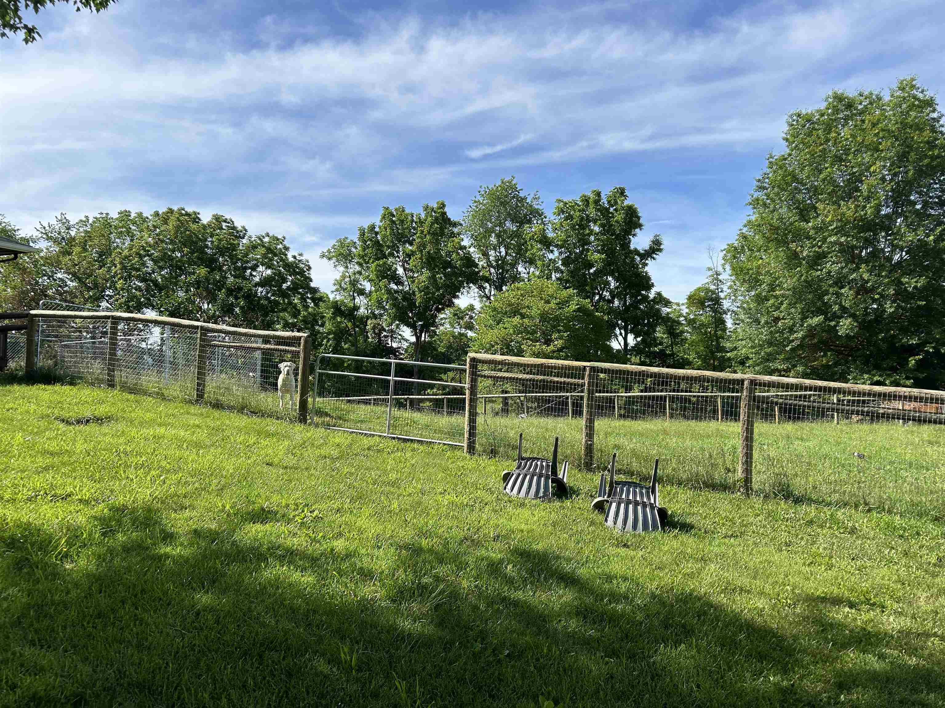 141 LORI LN, CHURCHVILLE, Virginia 24421, 3 Bedrooms Bedrooms, ,2 BathroomsBathrooms,Residential,141 LORI LN,671041 MLS # 671041 141 LORI LN, CHURCHVILLE, Virginia 24421, 3 Bedrooms Bedrooms, ,2 BathroomsBathrooms,Residential,141 LORI LN,671041 MLS # 671041