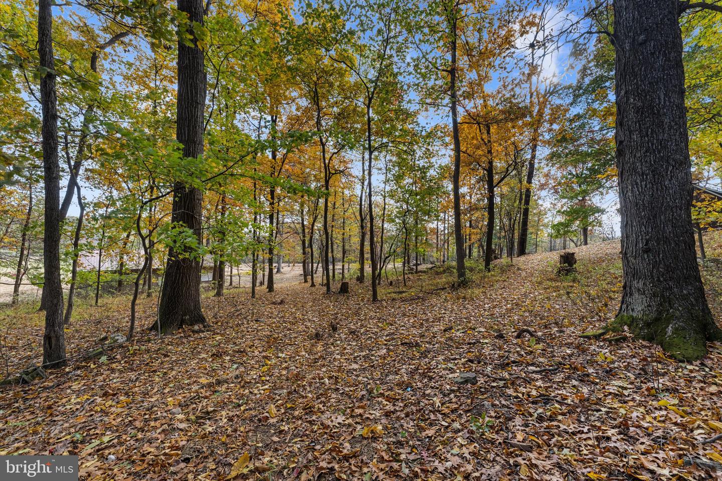 16559 WOODCHASE LN, ROUND HILL, Virginia 20141, ,Residential,For sale,16559 WOODCHASE LN,VALO2110508 MLS # VALO2110508 16559 WOODCHASE LN, ROUND HILL, Virginia 20141, ,Residential,For sale,16559 WOODCHASE LN,VALO2110508 MLS # VALO2110508