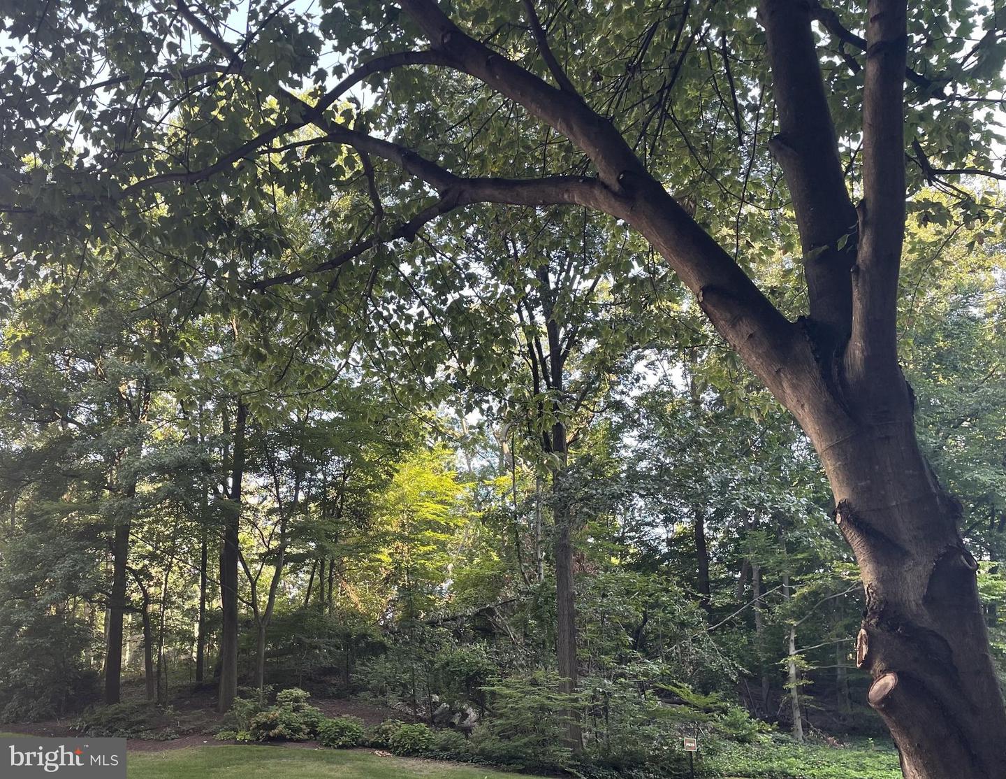 203 YOAKUM PKWY #1807, ALEXANDRIA, Virginia 22304, 2 Bedrooms Bedrooms, ,2 BathroomsBathrooms,Residential,For sale,203 YOAKUM PKWY #1807,VAAX2051600 MLS # VAAX2051600