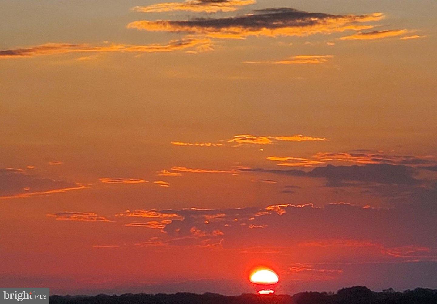 203 YOAKUM PKWY #1807, ALEXANDRIA, Virginia 22304, 2 Bedrooms Bedrooms, ,2 BathroomsBathrooms,Residential,For sale,203 YOAKUM PKWY #1807,VAAX2051600 MLS # VAAX2051600 203 YOAKUM PKWY #1807, ALEXANDRIA, Virginia 22304, 2 Bedrooms Bedrooms, ,2 BathroomsBathrooms,Residential,For sale,203 YOAKUM PKWY #1807,VAAX2051600 MLS # VAAX2051600