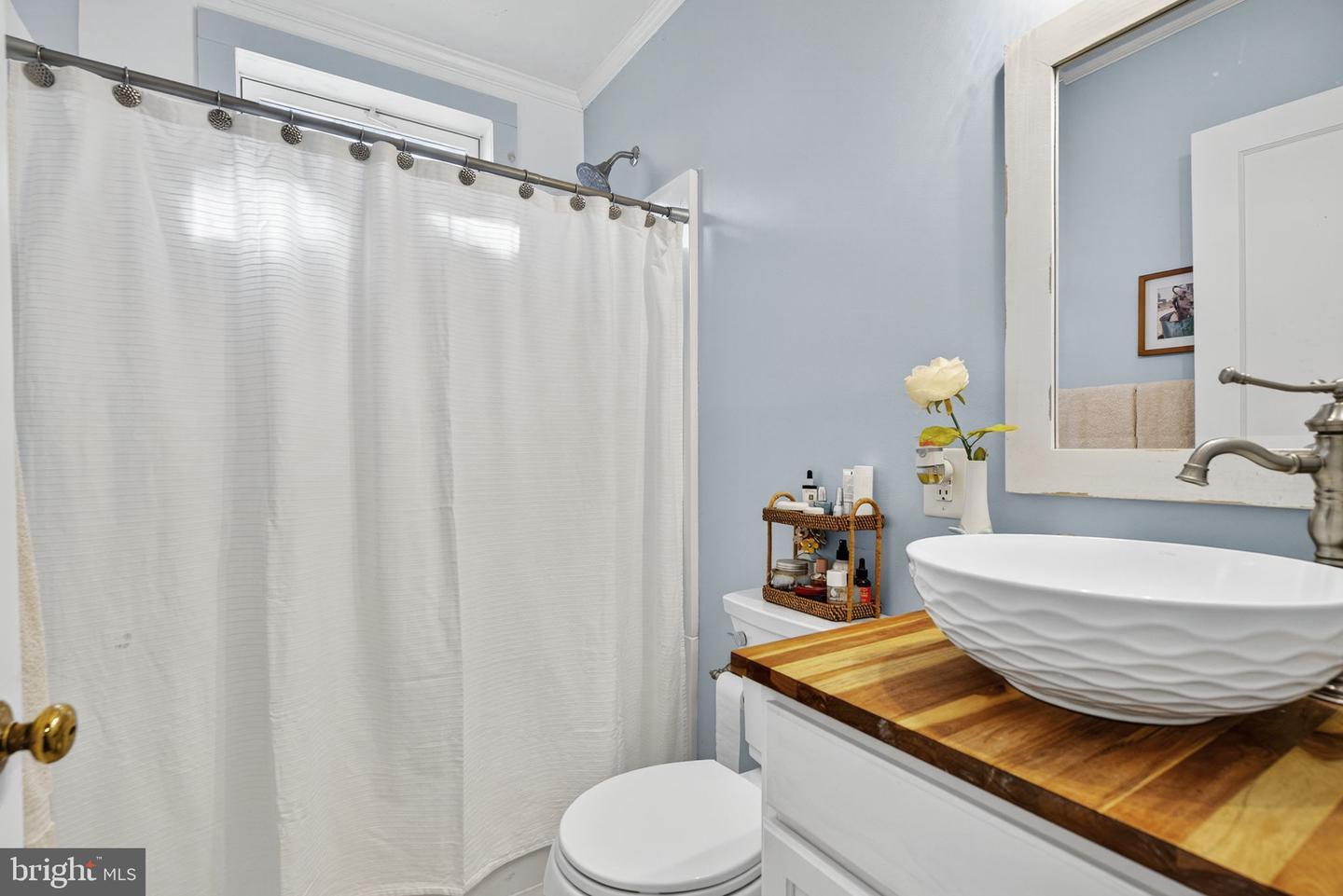 18321 CARRICO MILLS RD, STEVENSBURG, Virginia 22741, 3 Bedrooms Bedrooms, ,2 BathroomsBathrooms,Residential,For sale,18321 CARRICO MILLS RD,VACU2012048 MLS # VACU2012048 18321 CARRICO MILLS RD, STEVENSBURG, Virginia 22741, 3 Bedrooms Bedrooms, ,2 BathroomsBathrooms,Residential,For sale,18321 CARRICO MILLS RD,VACU2012048 MLS # VACU2012048