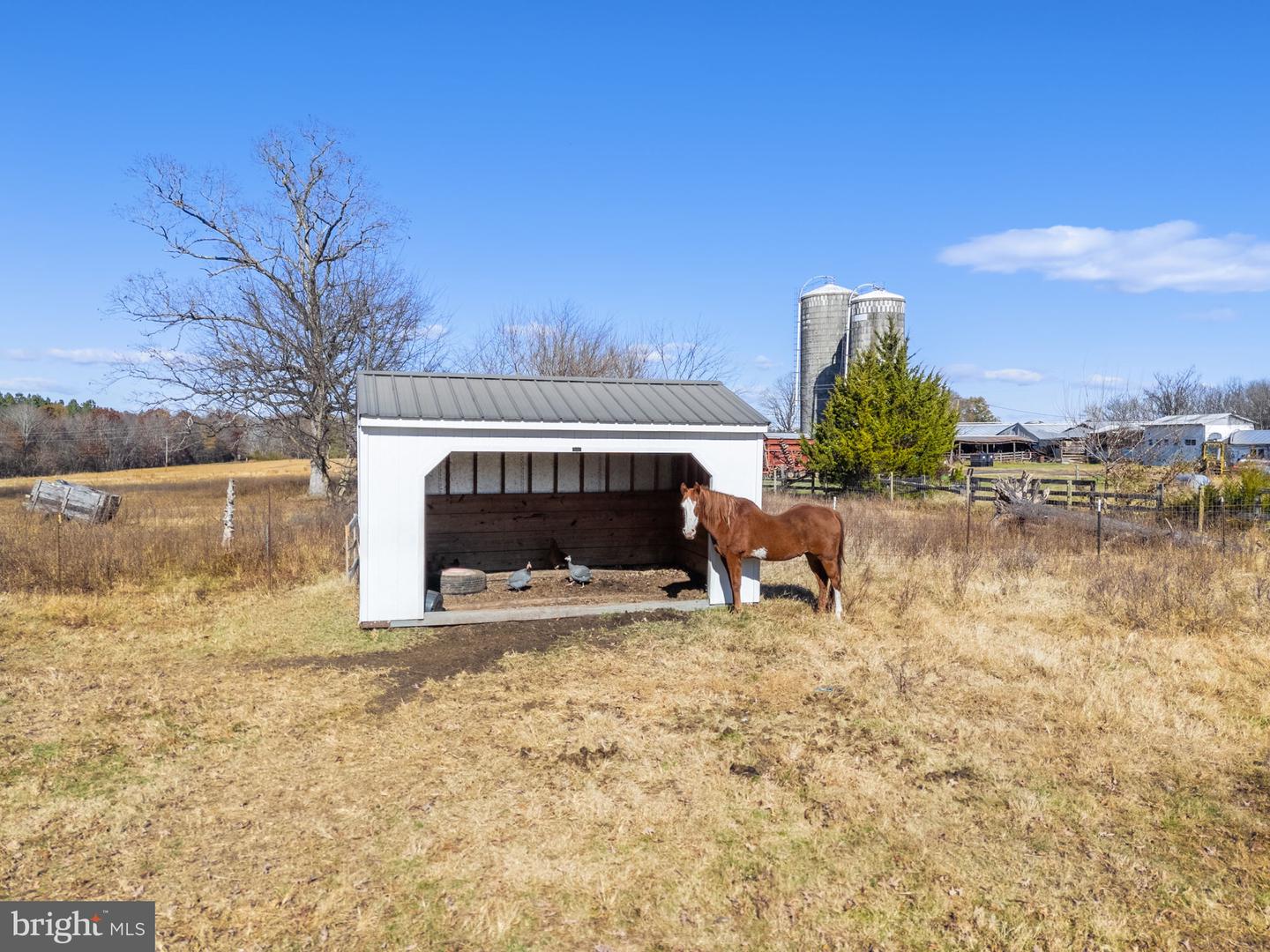 18321 CARRICO MILLS RD, STEVENSBURG, Virginia 22741, 3 Bedrooms Bedrooms, ,2 BathroomsBathrooms,Residential,For sale,18321 CARRICO MILLS RD,VACU2012048 MLS # VACU2012048 18321 CARRICO MILLS RD, STEVENSBURG, Virginia 22741, 3 Bedrooms Bedrooms, ,2 BathroomsBathrooms,Residential,For sale,18321 CARRICO MILLS RD,VACU2012048 MLS # VACU2012048